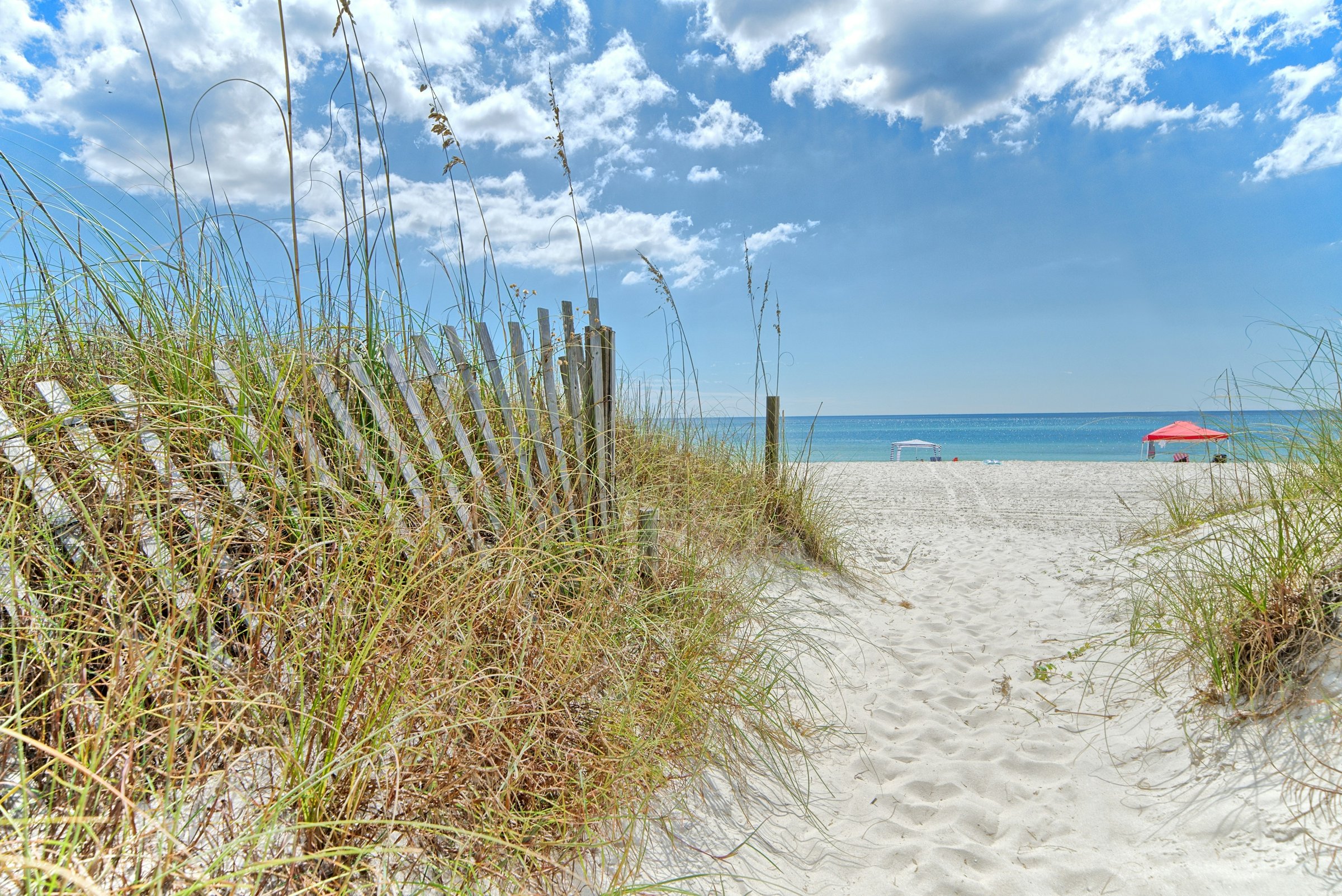 The undeveloped private shoreline at Bid-A-Wee Beach on the west end of Panama City Beach, Florida, with dune grass and no high-rise buildings