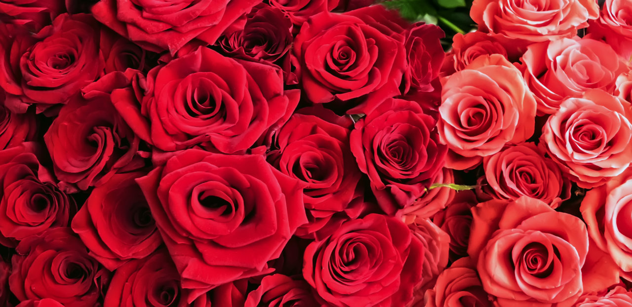Spoil Your Loved One with a Valentine’s Day Getaway to Durango