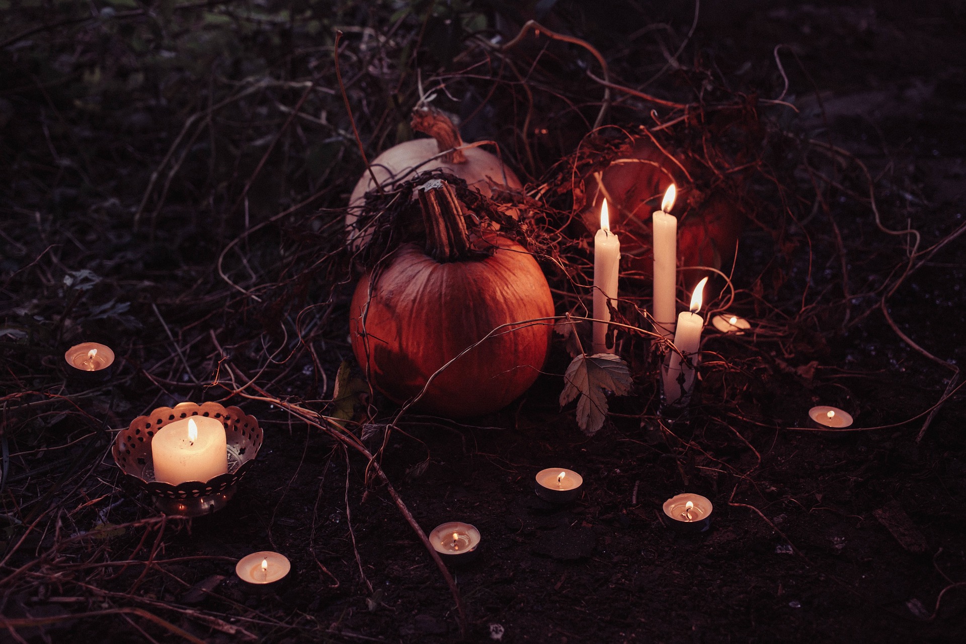 Best Places to Trick-or-Treat in Durango