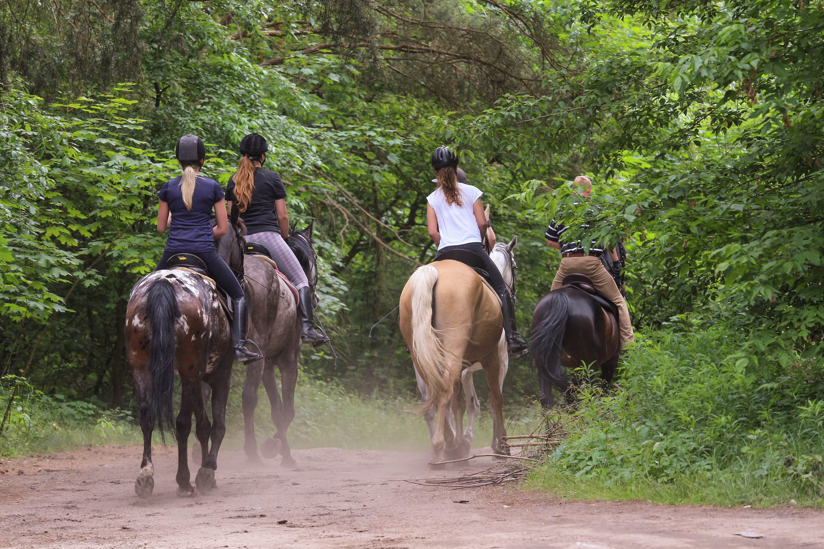Some of the Best Colorado Horseback Riding is in Durango