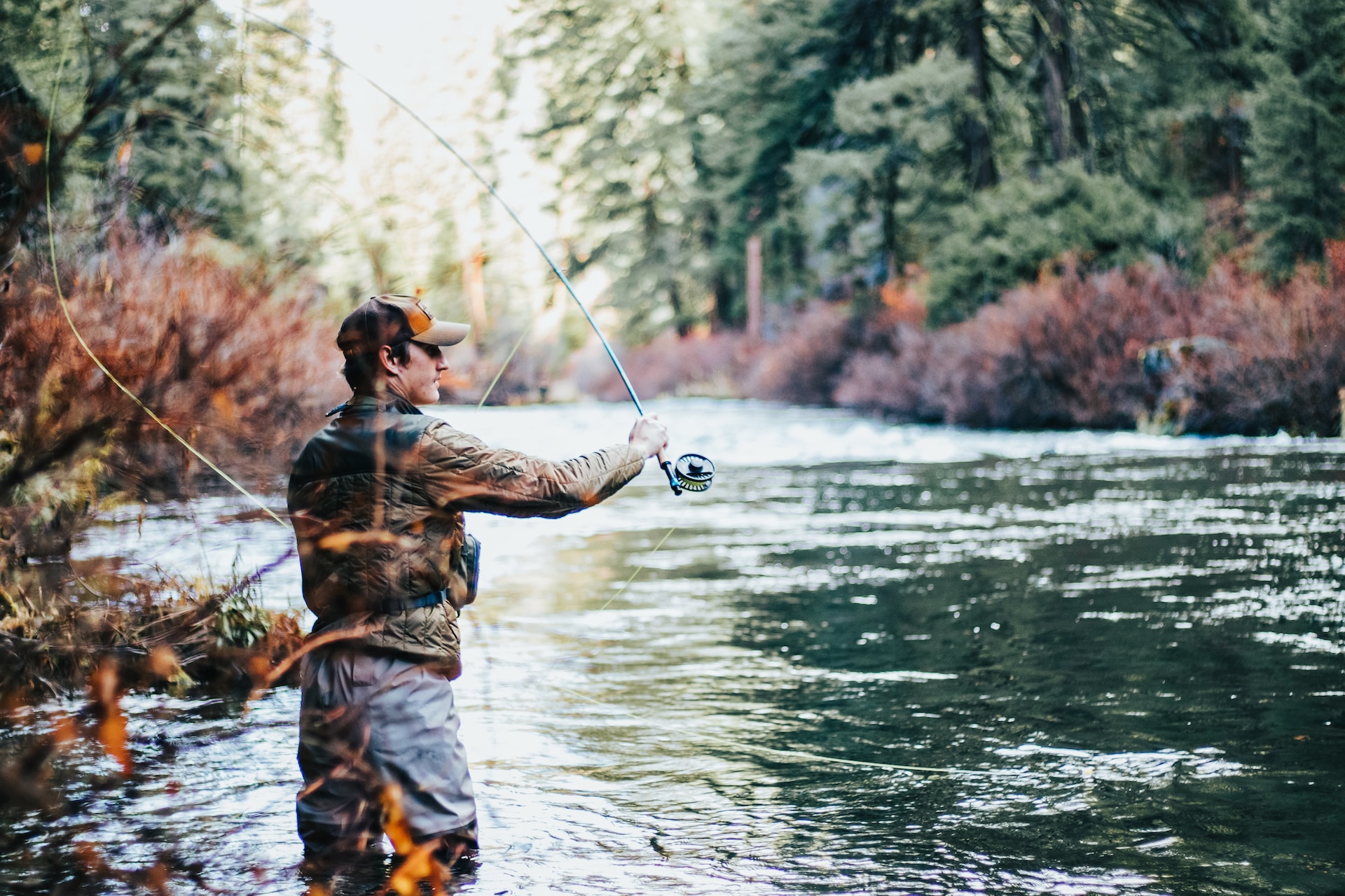 fly fishing in a river