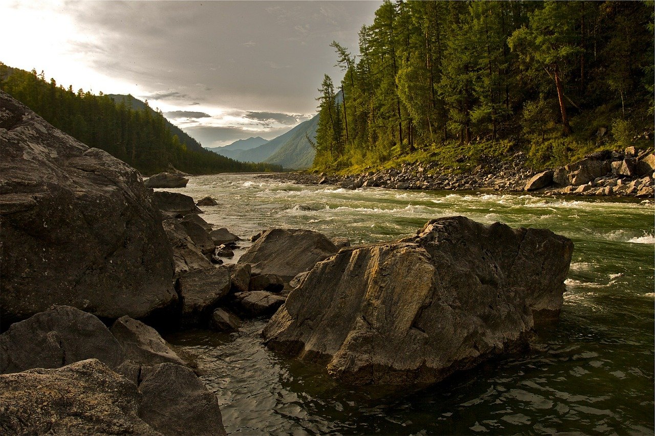 Animas River
