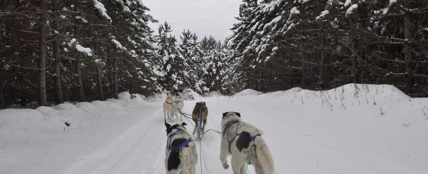 Four Underrated Durango Adventures You Have to Check Out