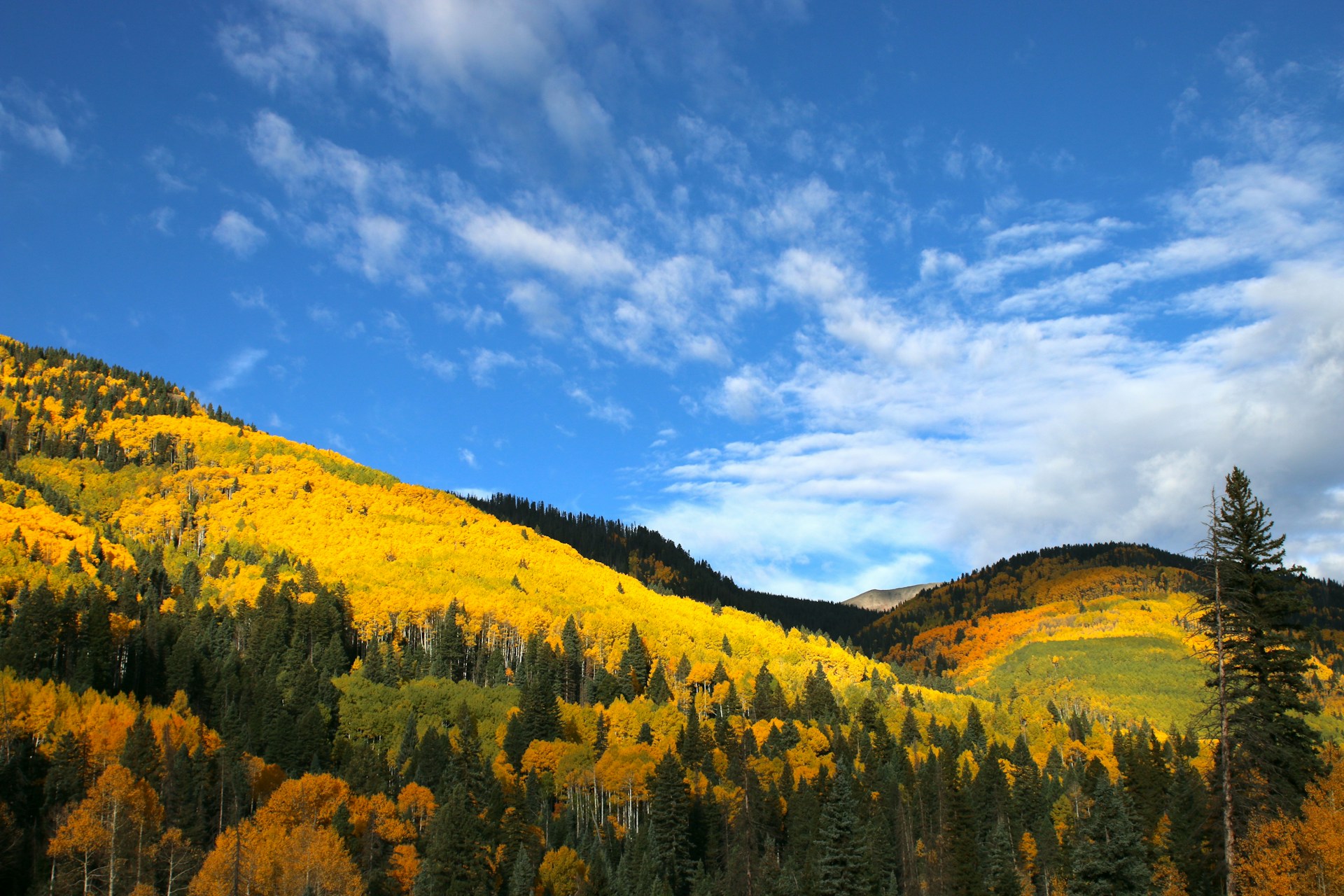 How to Plan the Perfect Fall Getaway in Durango, Colorado