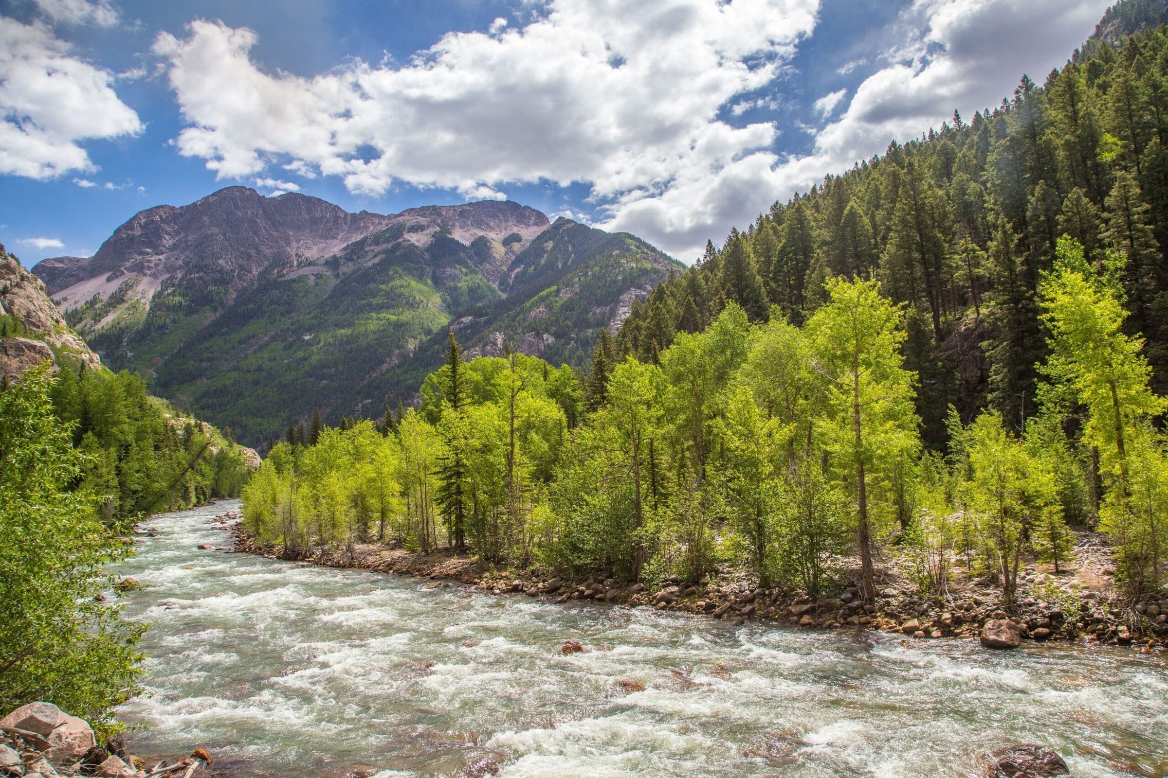 Exploring the Animas River: Activities and Tips