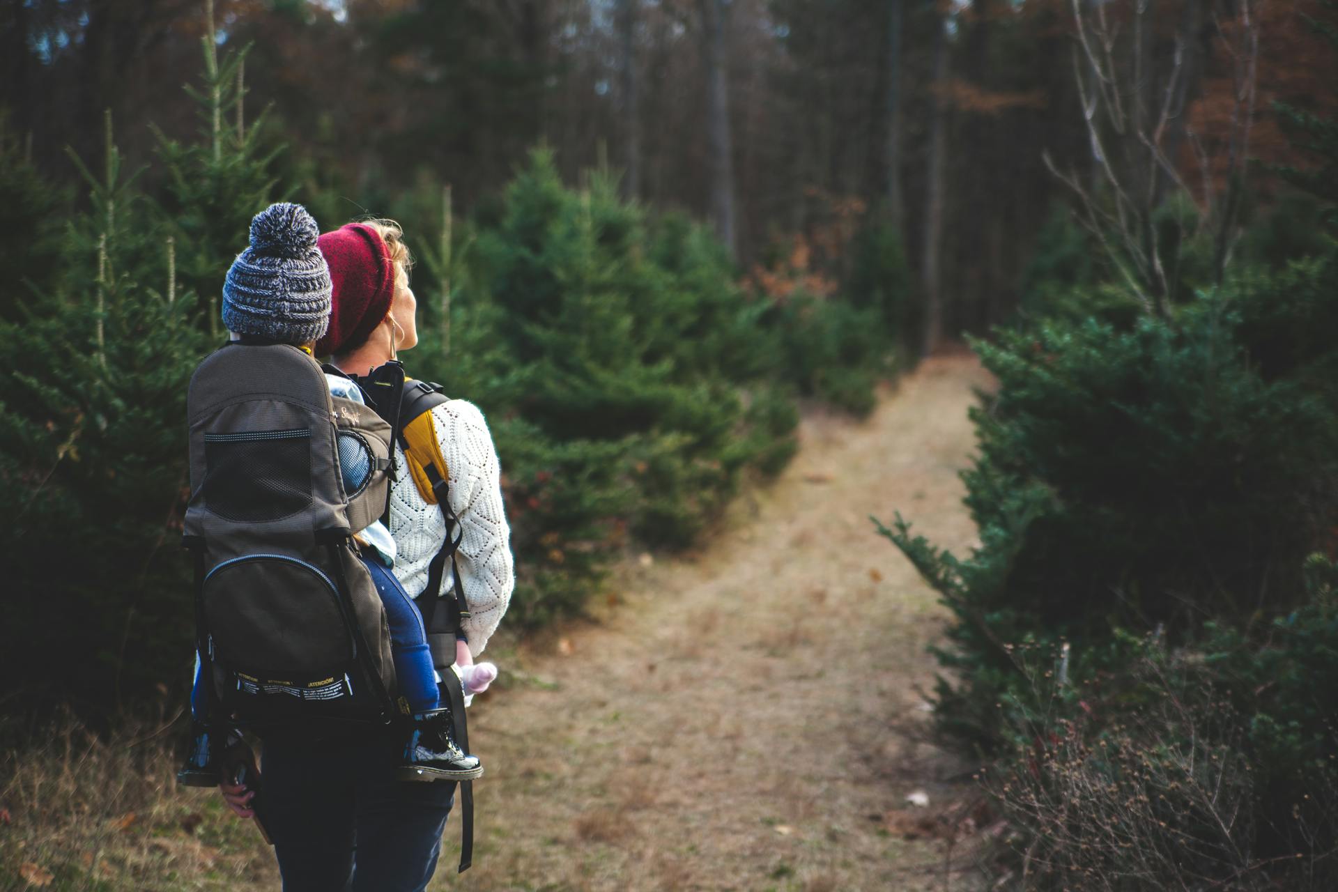 Guide to Hiking in Durango, CO