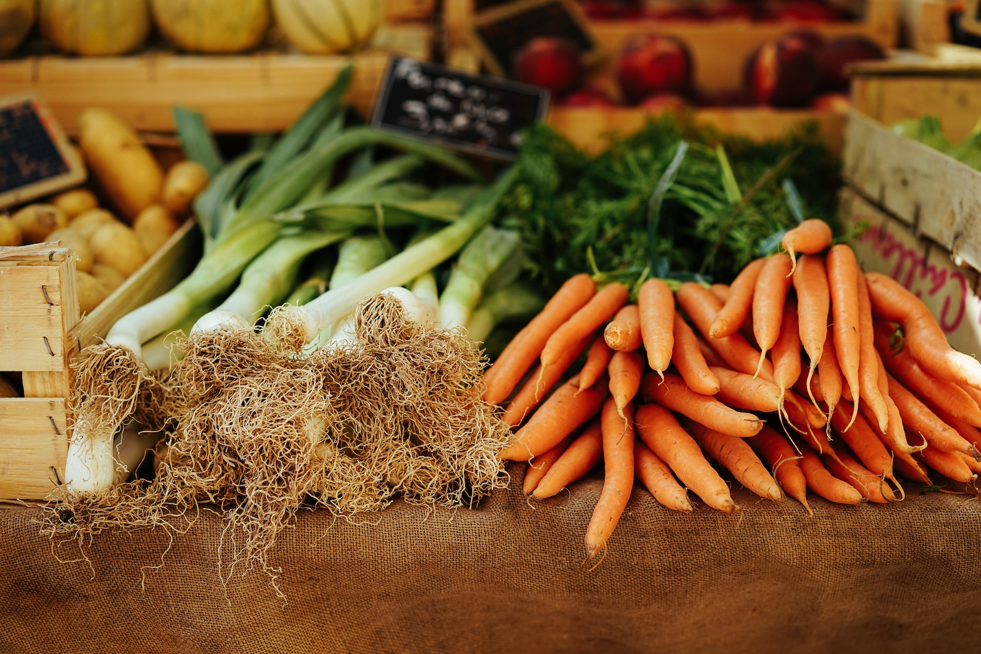 green onions and carrots