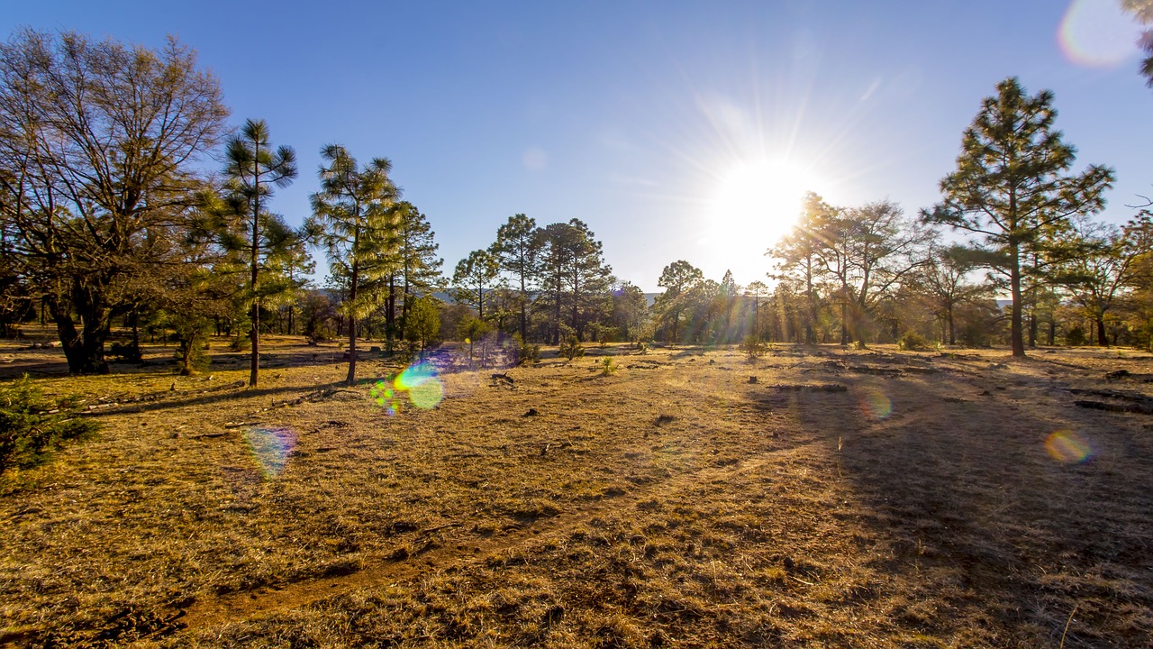 places to see in Durango CO