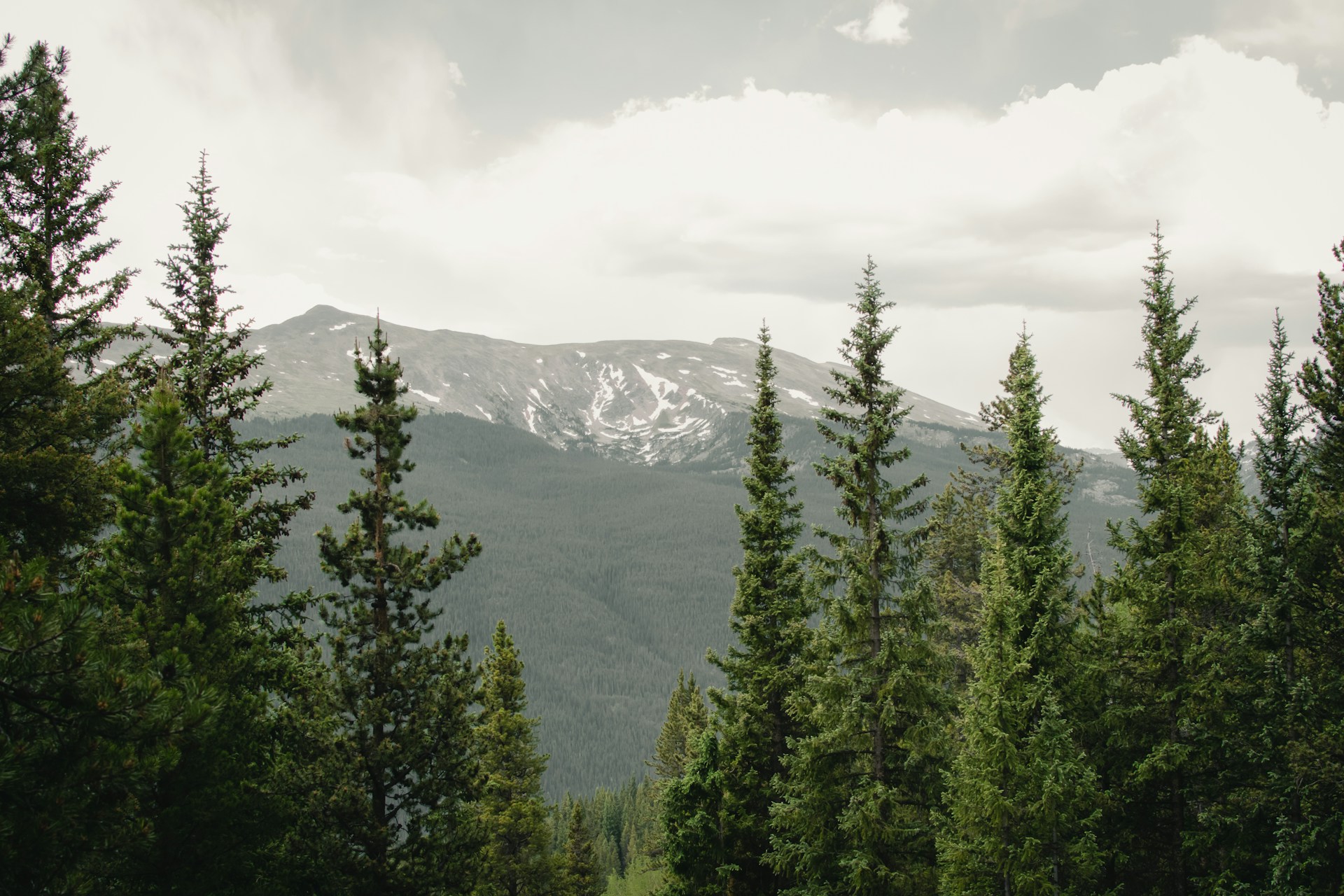 A mountain view in Colorado