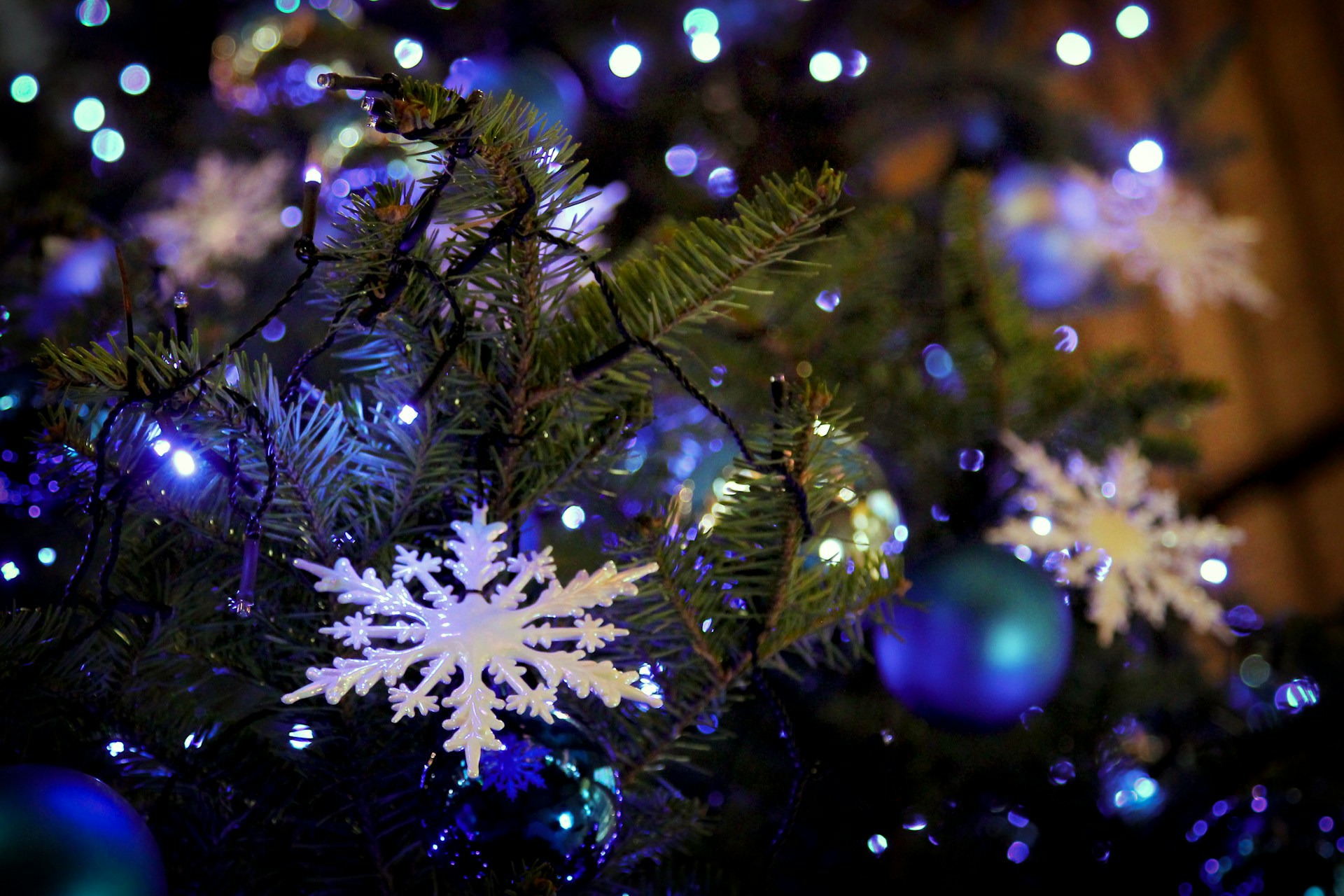 A Christmas tree with lights