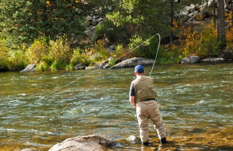 How to Have the Best Day at the San Juan National Forest