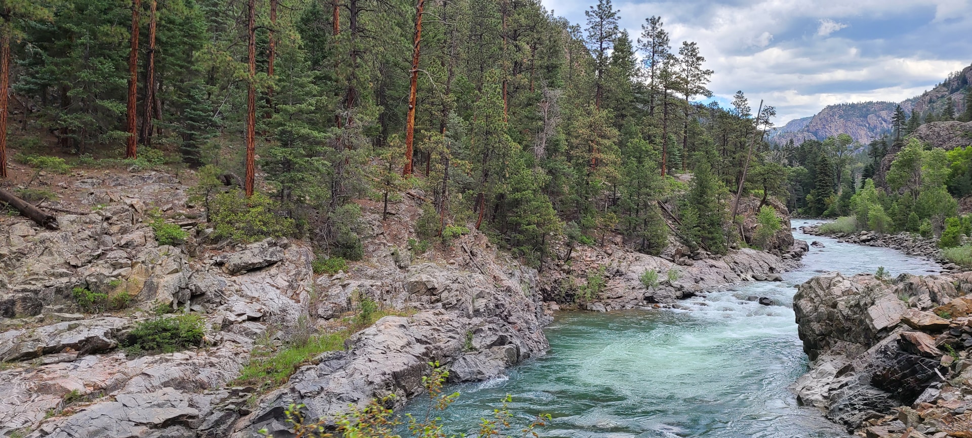 Animas river near Durango