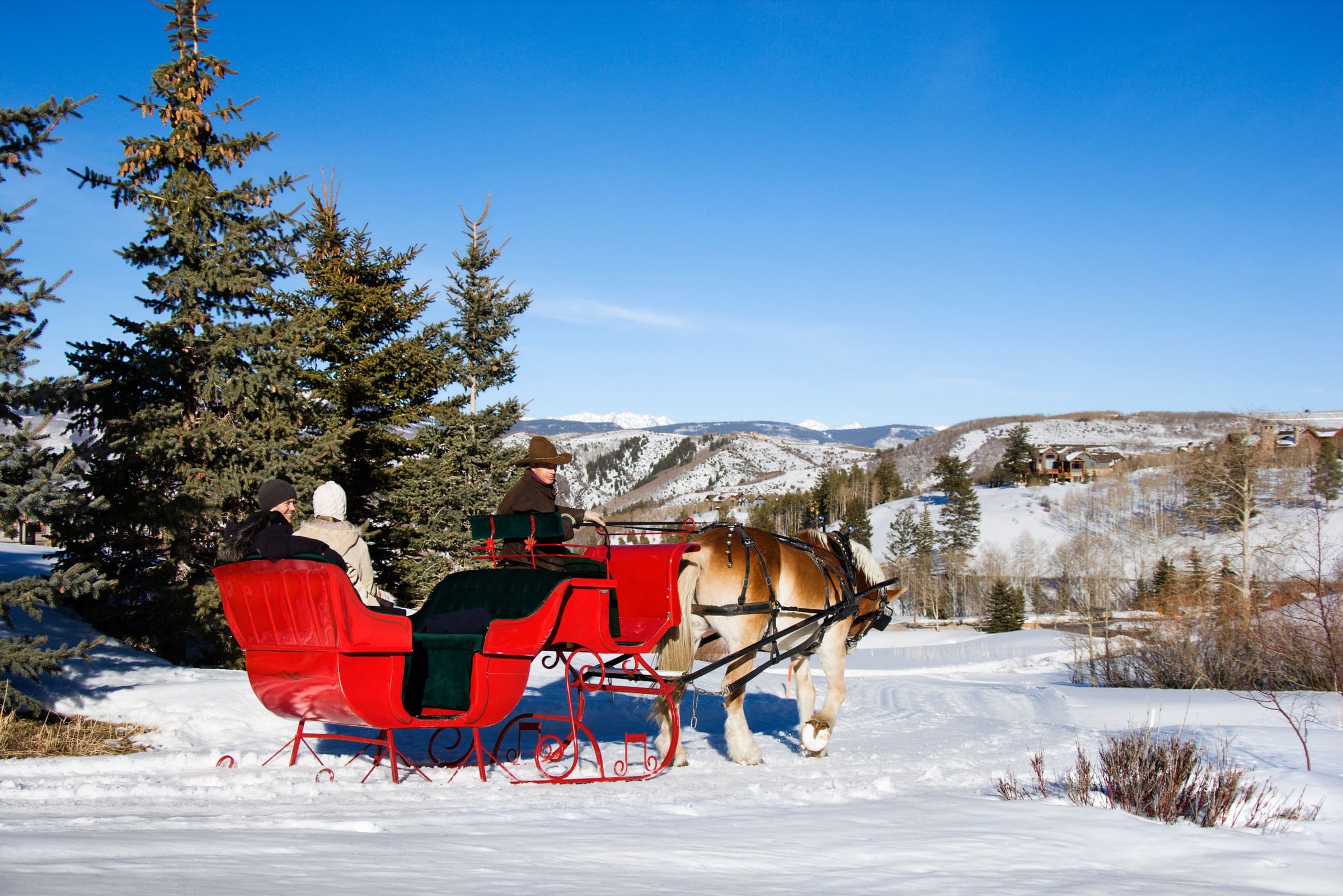 How to Find the Best Sleigh Rides in Colorado