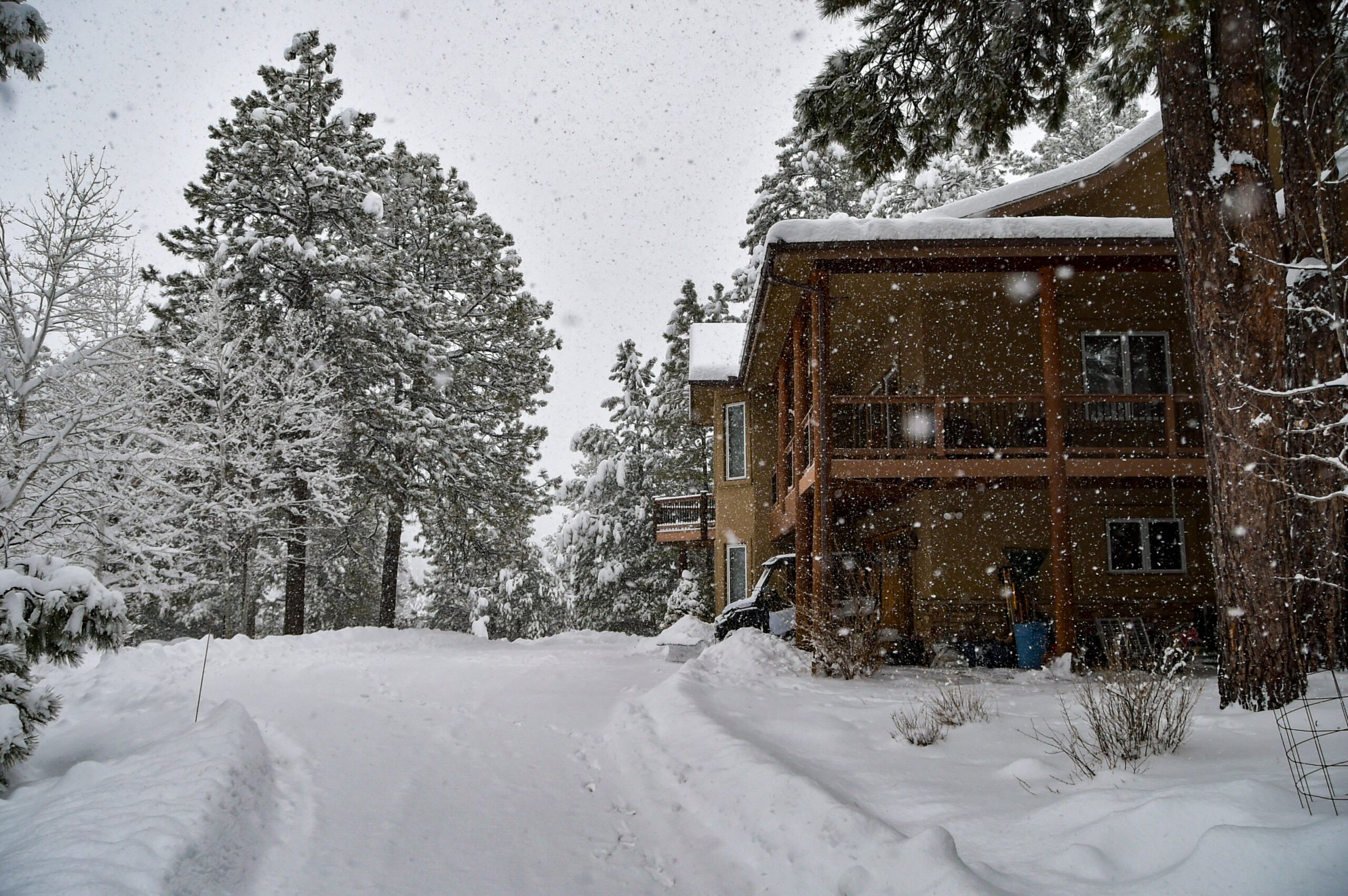 How to Have a Very Merry Durango Christmas