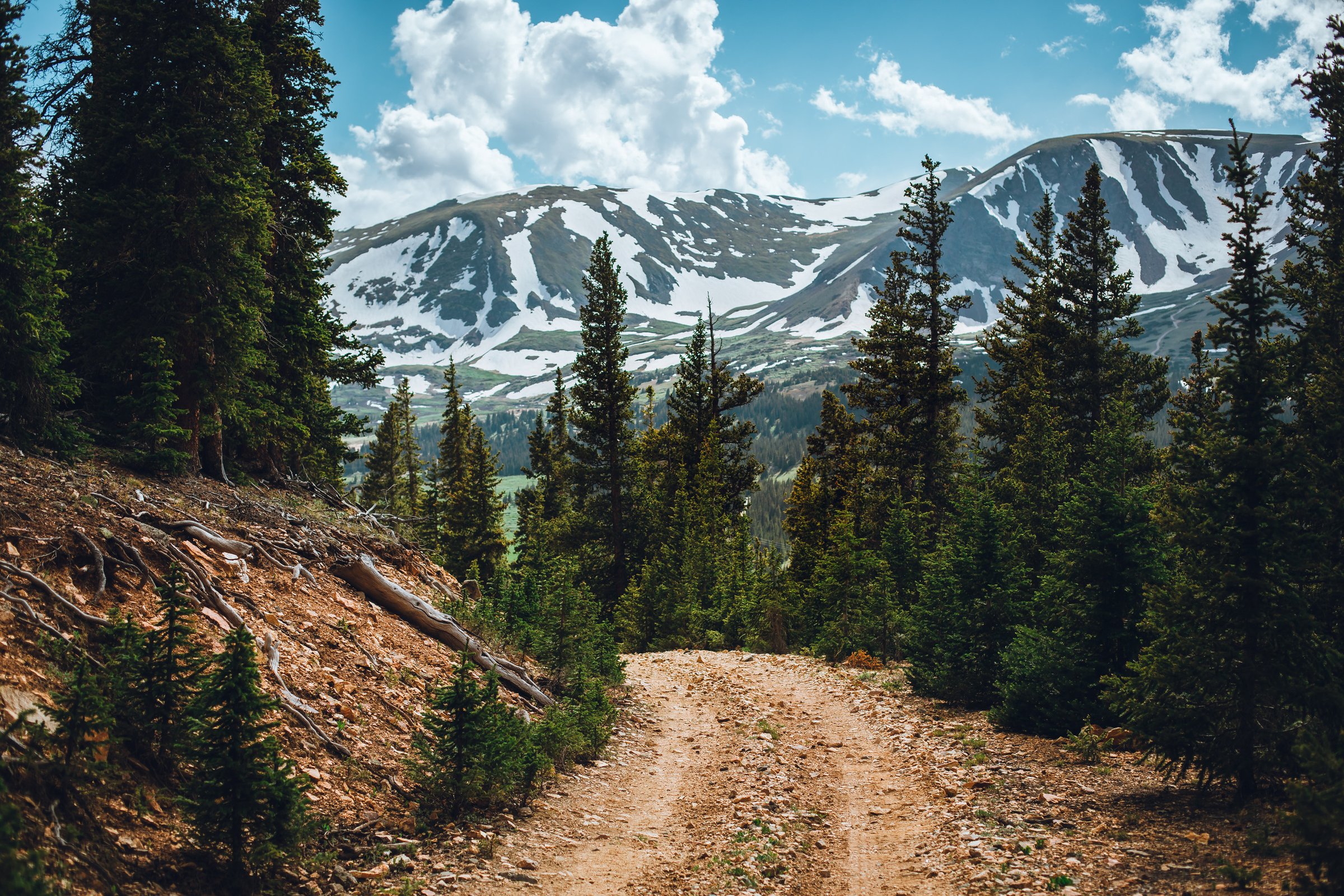 How to Plan the Best Hike on the Amazing Colorado Trail