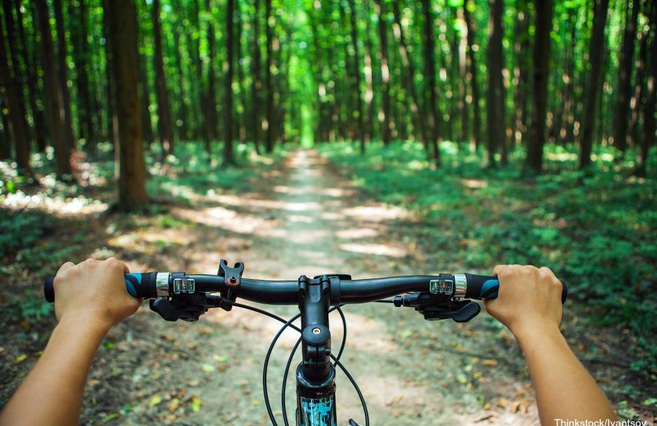 Why You Need to Go Colorado Sightseeing