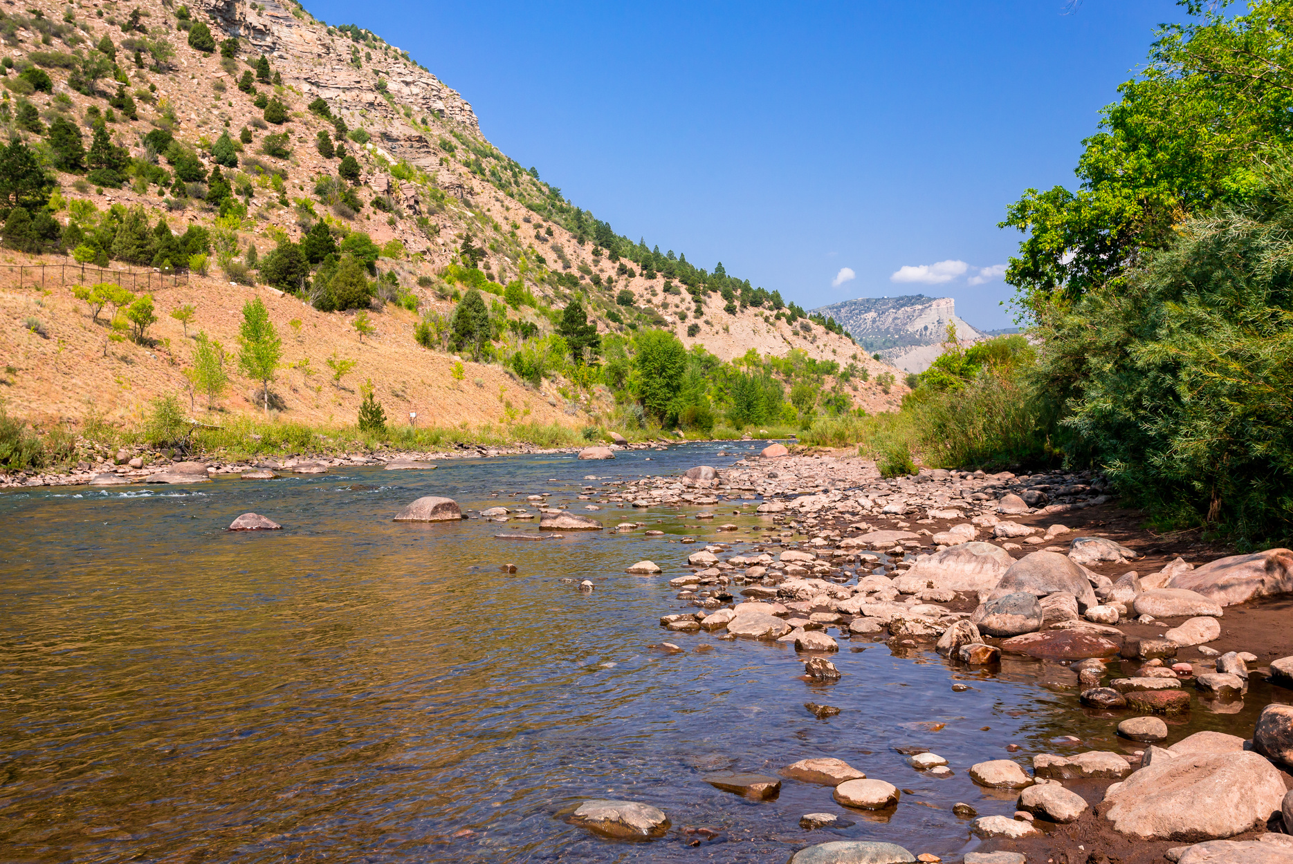 Why the Animas River Days is One of the Best Events in the State