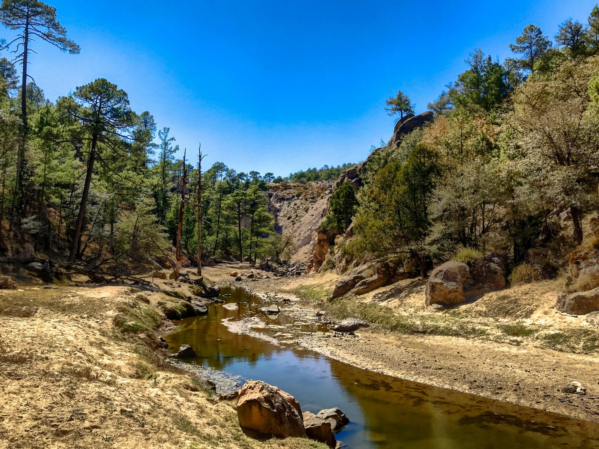 Plan a 2025 Memorial Day Getaway to Durango