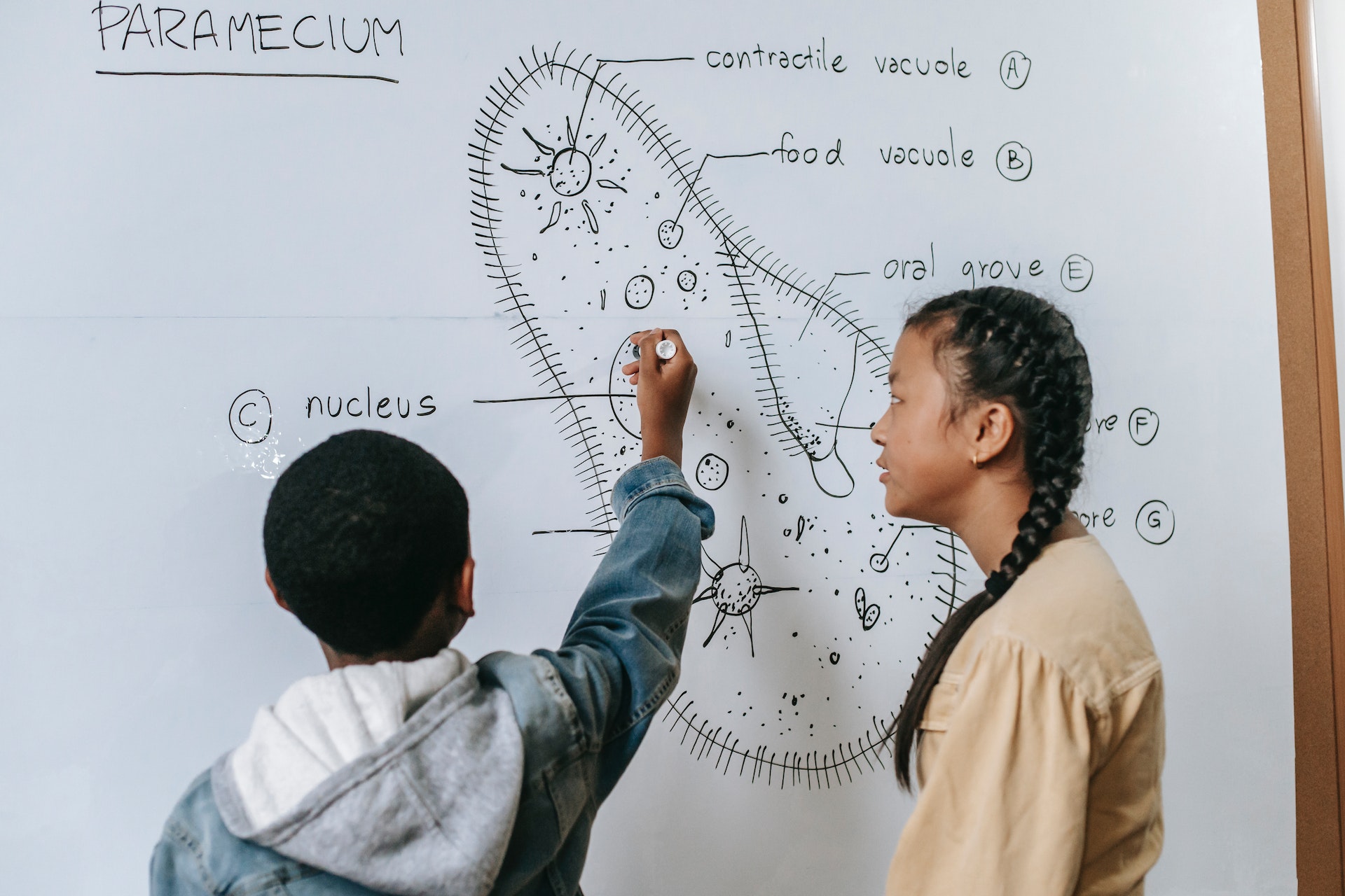 kids learning science