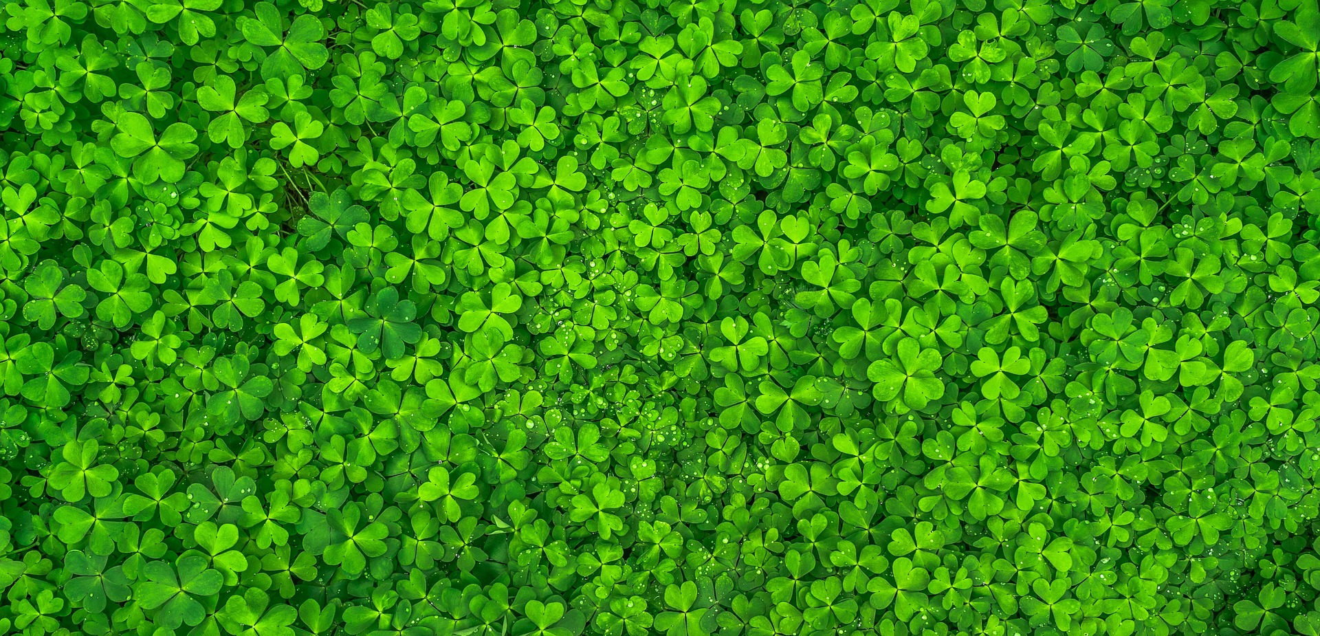 St. Patrick’s Day in Durango