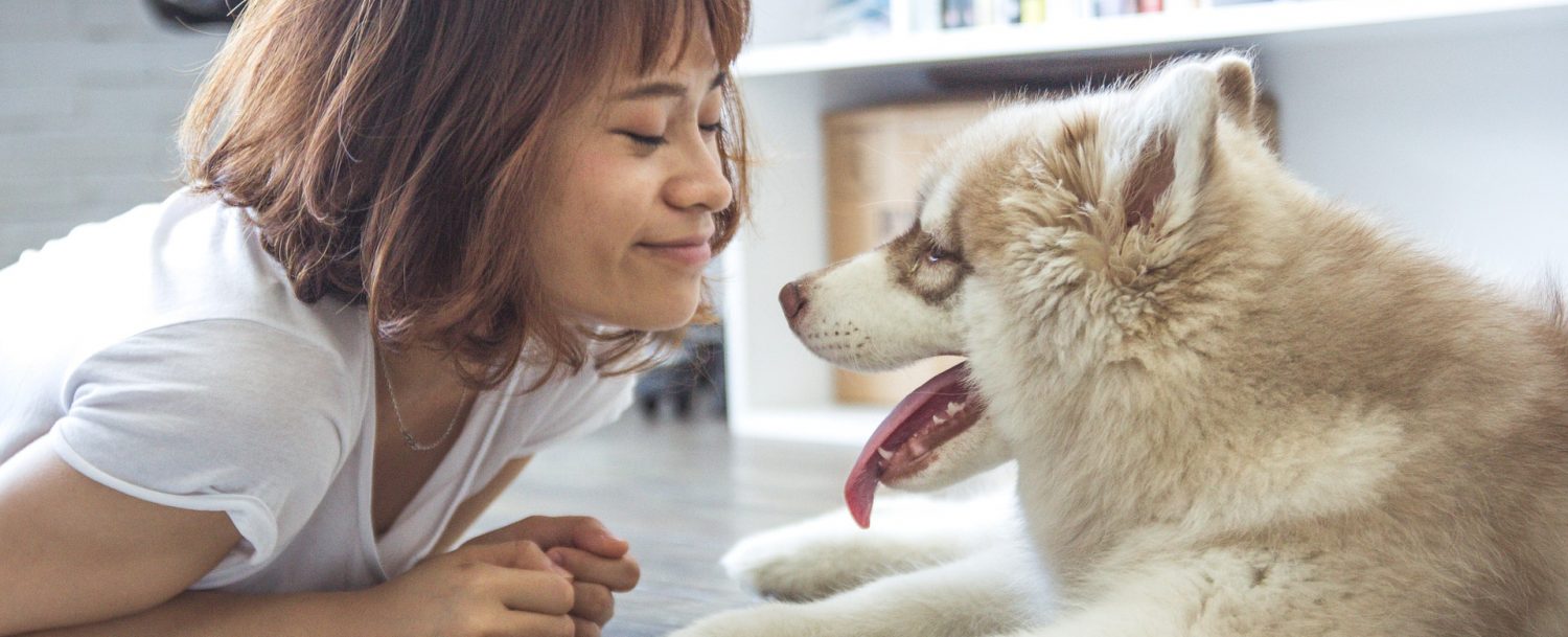 3 Reasons to Bring Your Dog to Durango