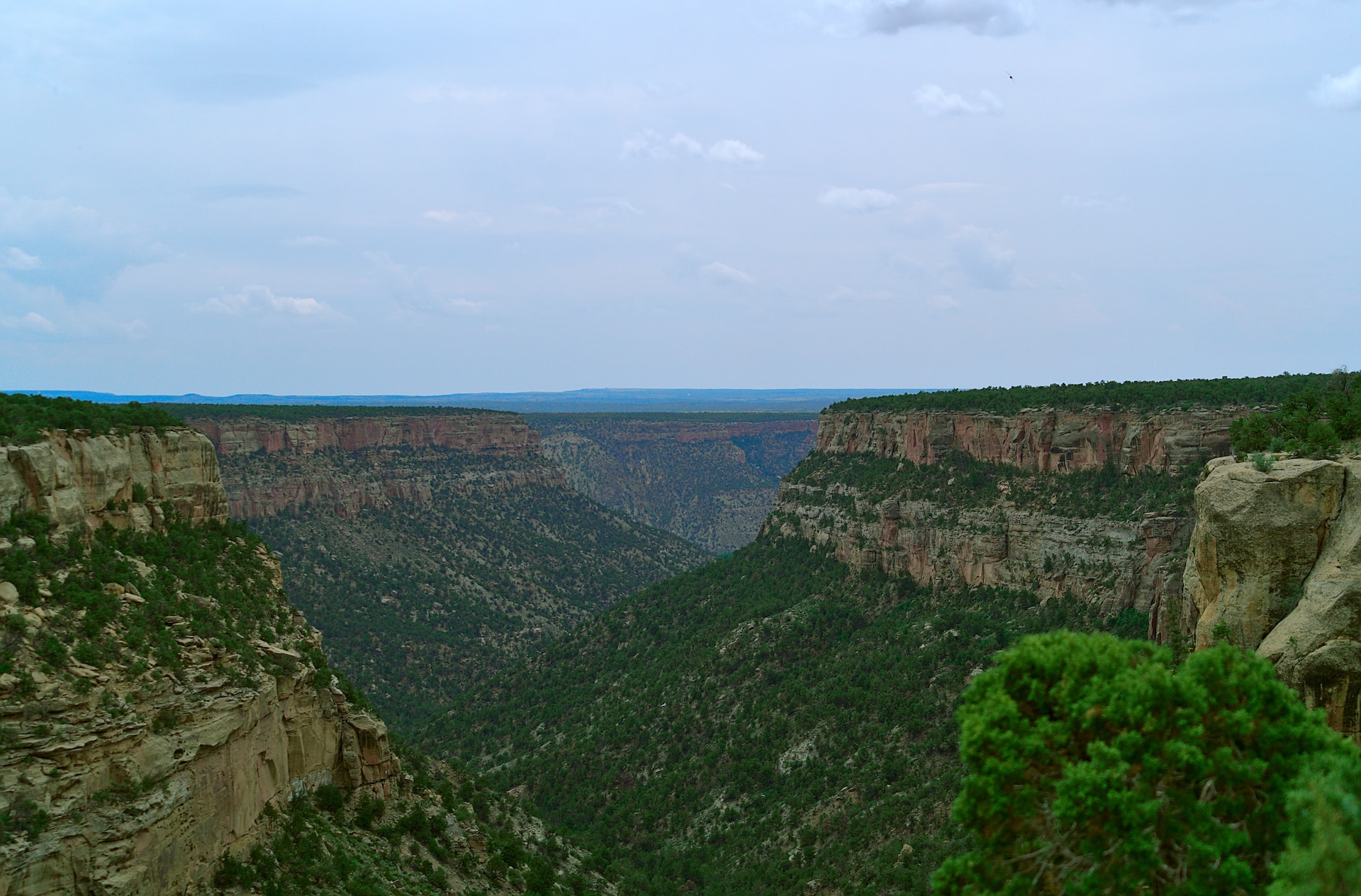 explore Mesa Verde National Park