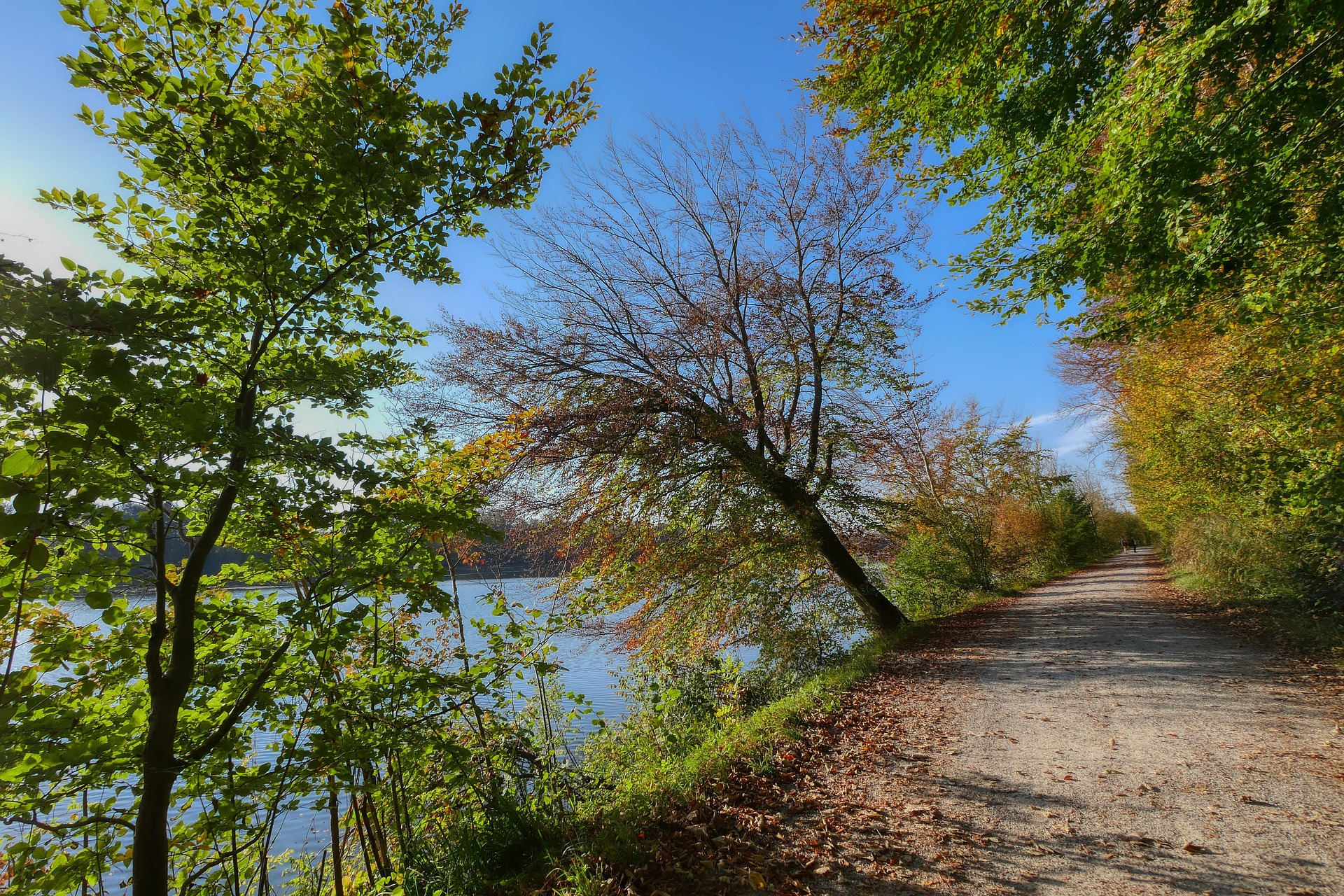 How to Spend Spring Break in Durango - Nature Trail