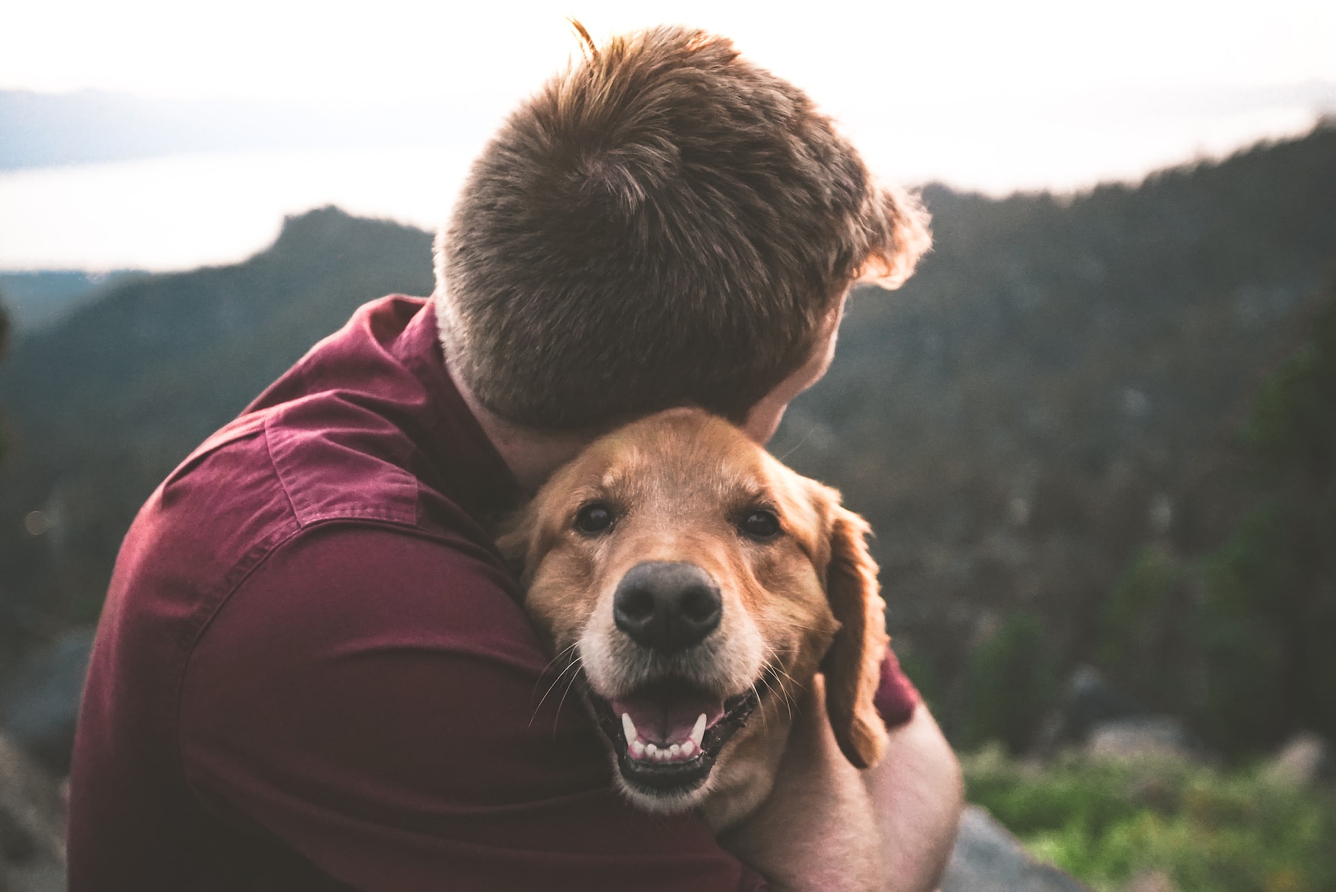 Have a dog-friendly journey to Durango