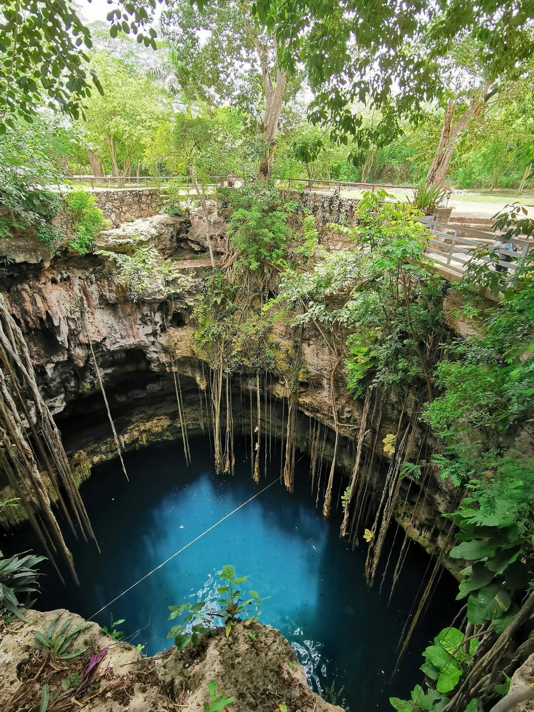 A deep cenote with dark blue water surrounded by rocky walls and lush green foliage, with tree roots hanging over the edge.
