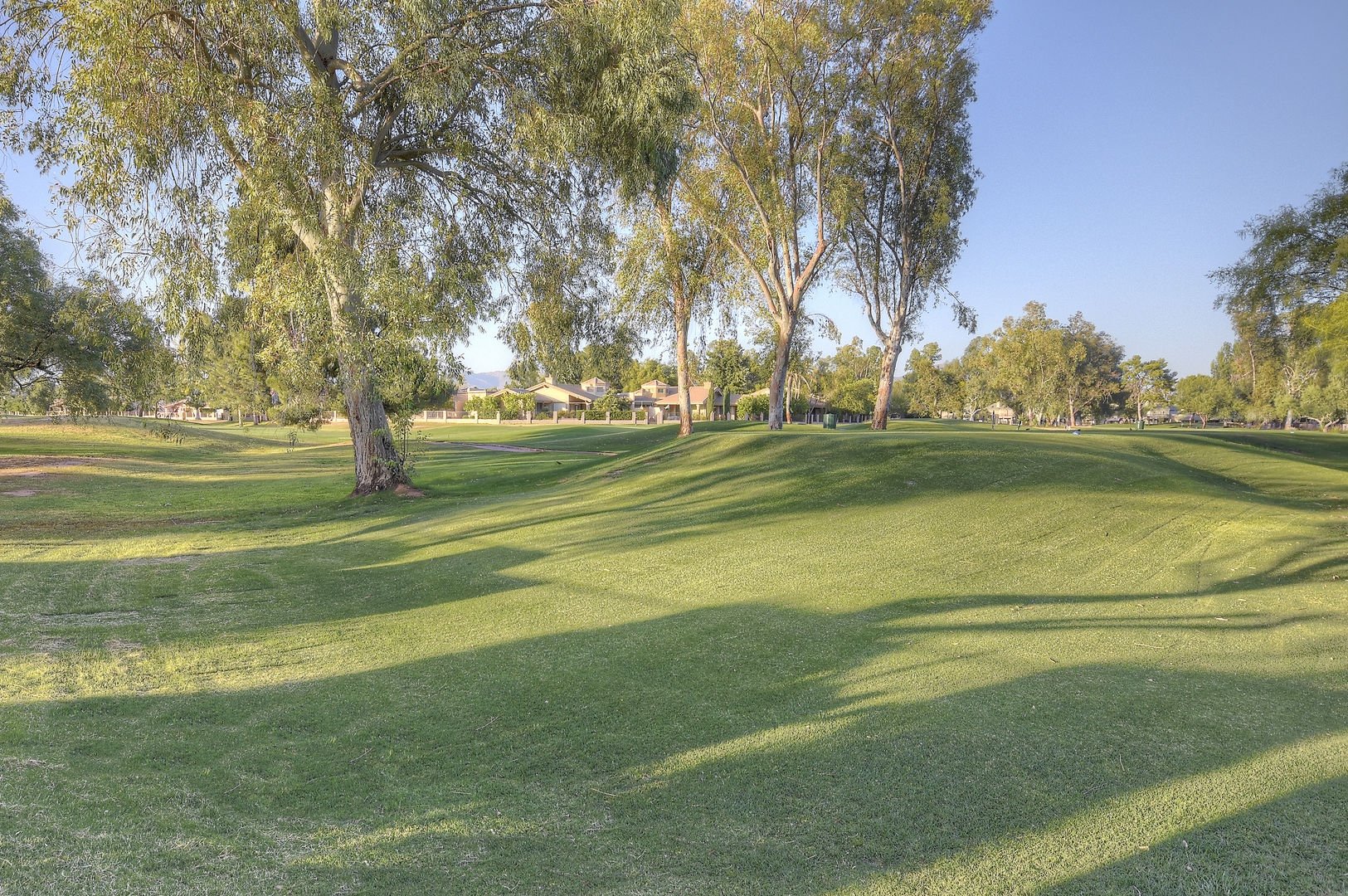 Golf course fairway lined with mature trees