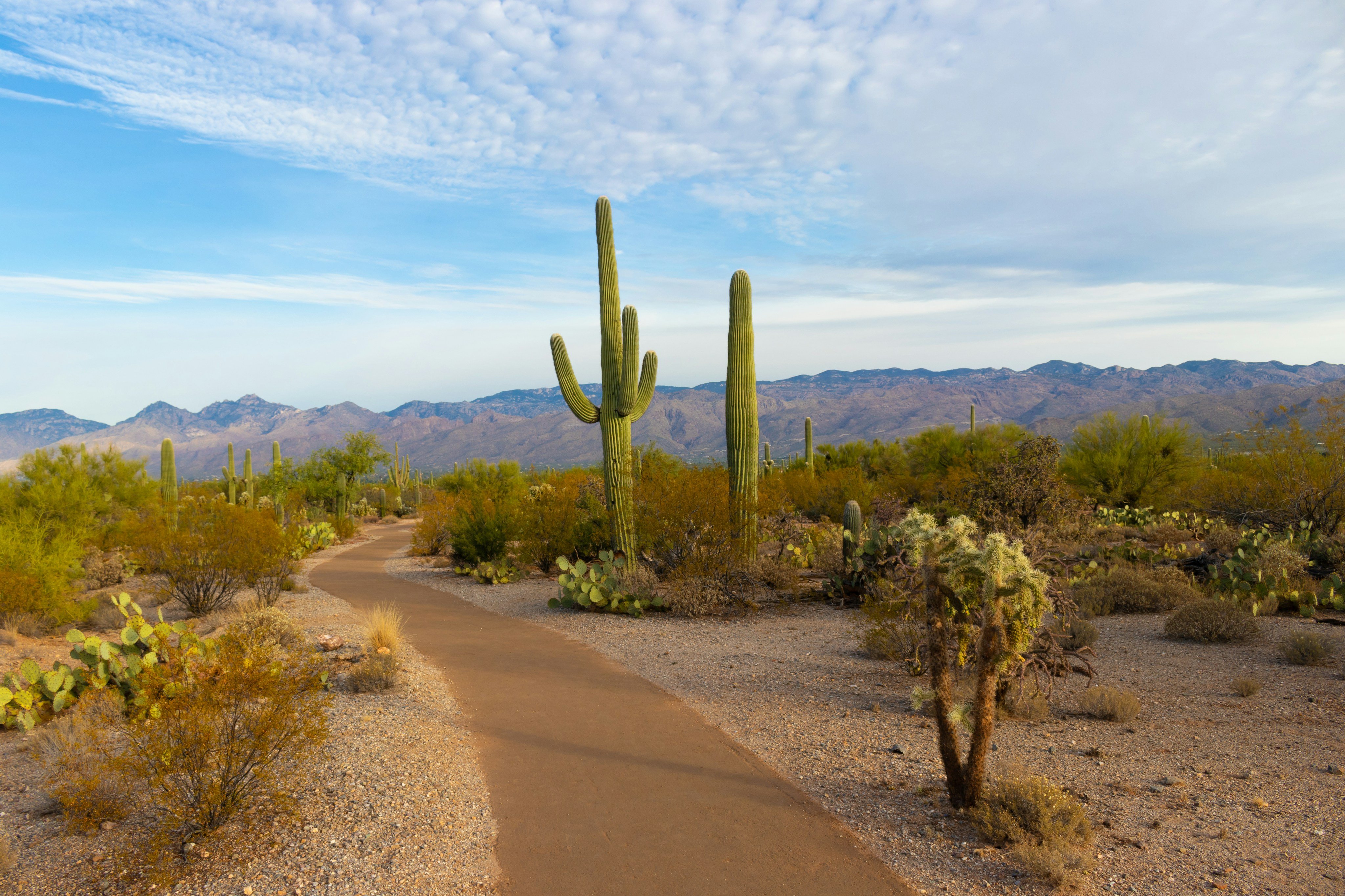 Arizona hiking trail