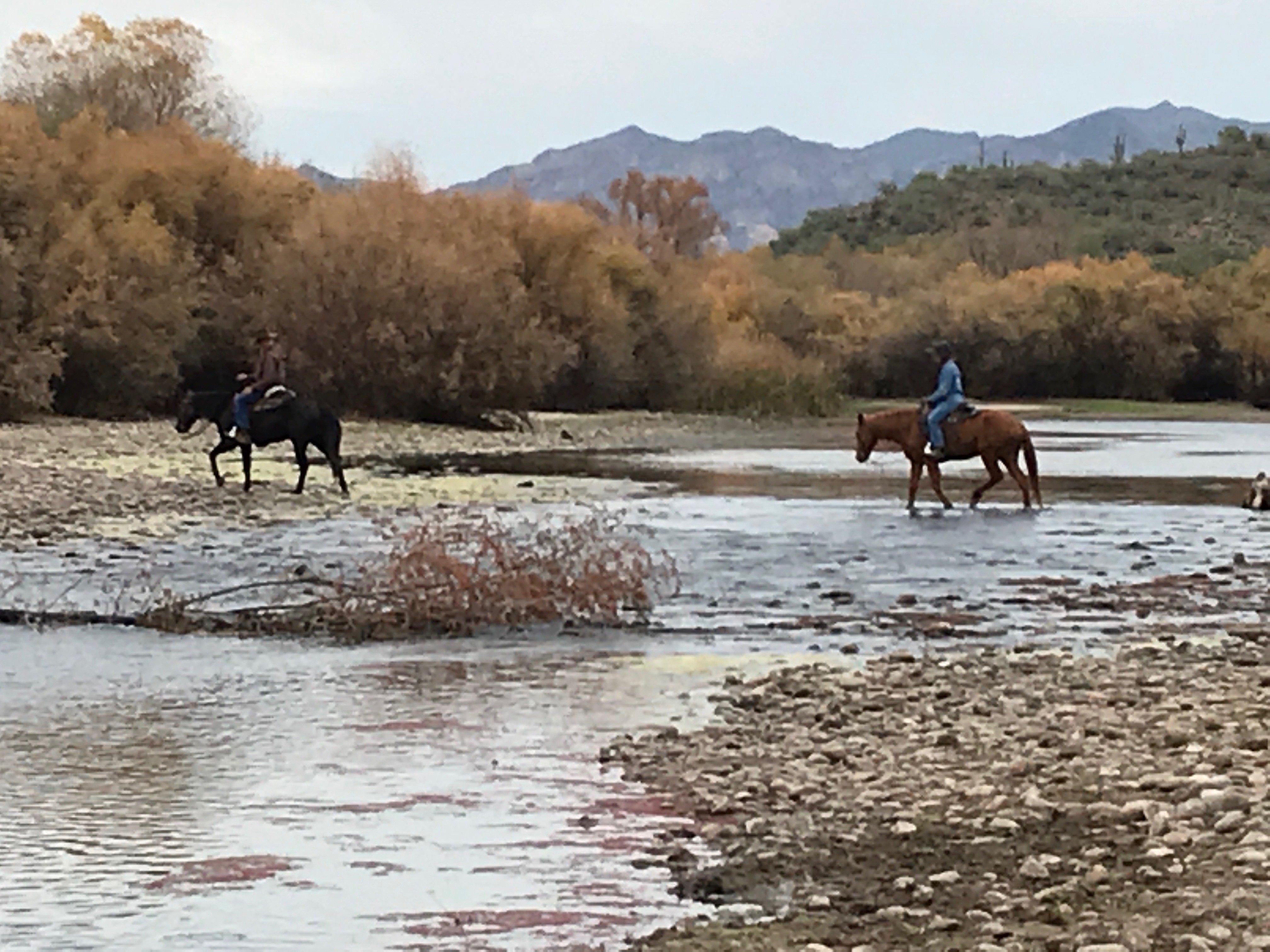 Salt River paddling
