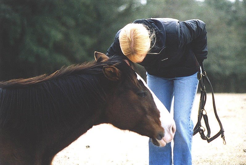 Horses at a ranch water trough