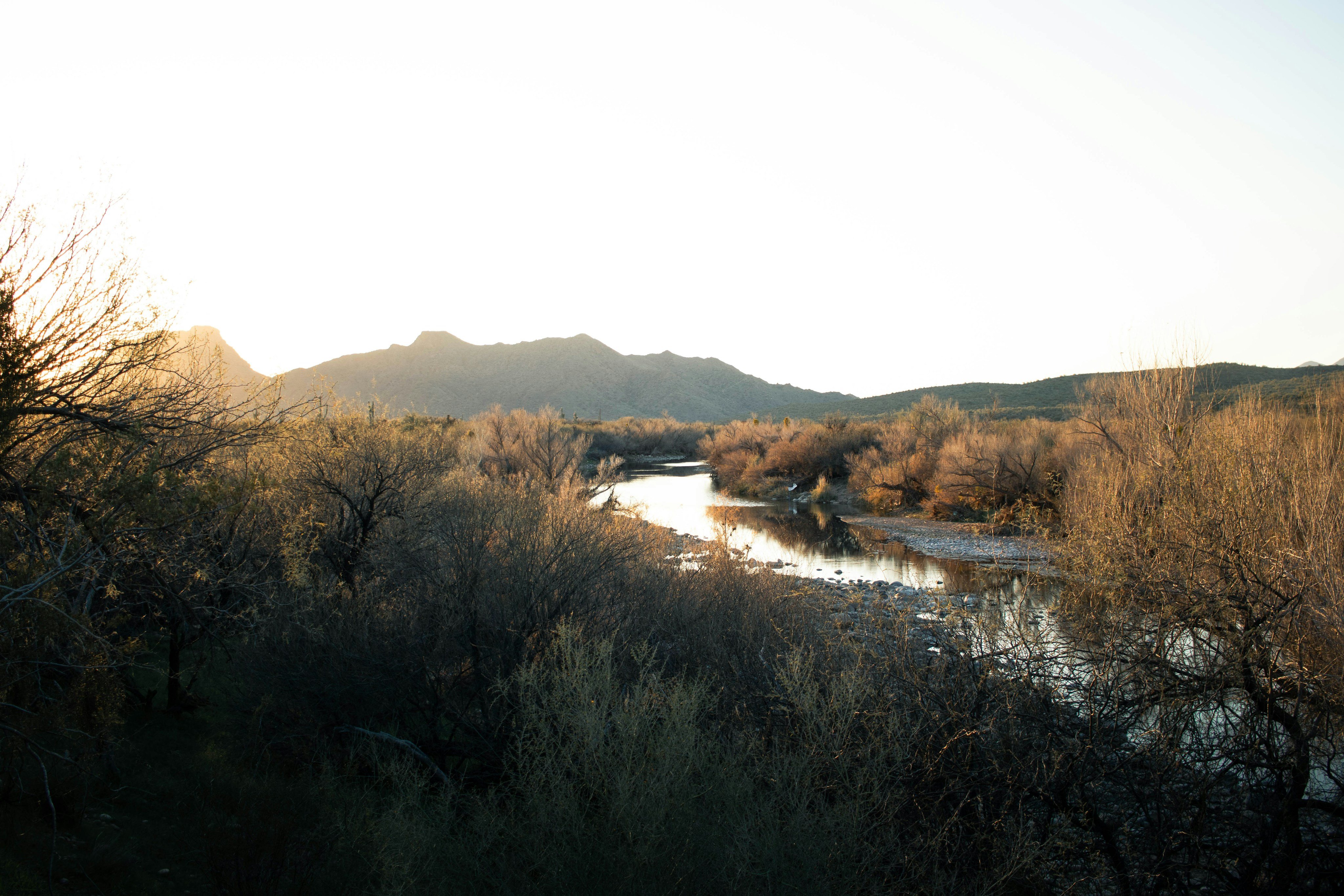 Arizona water recreation
