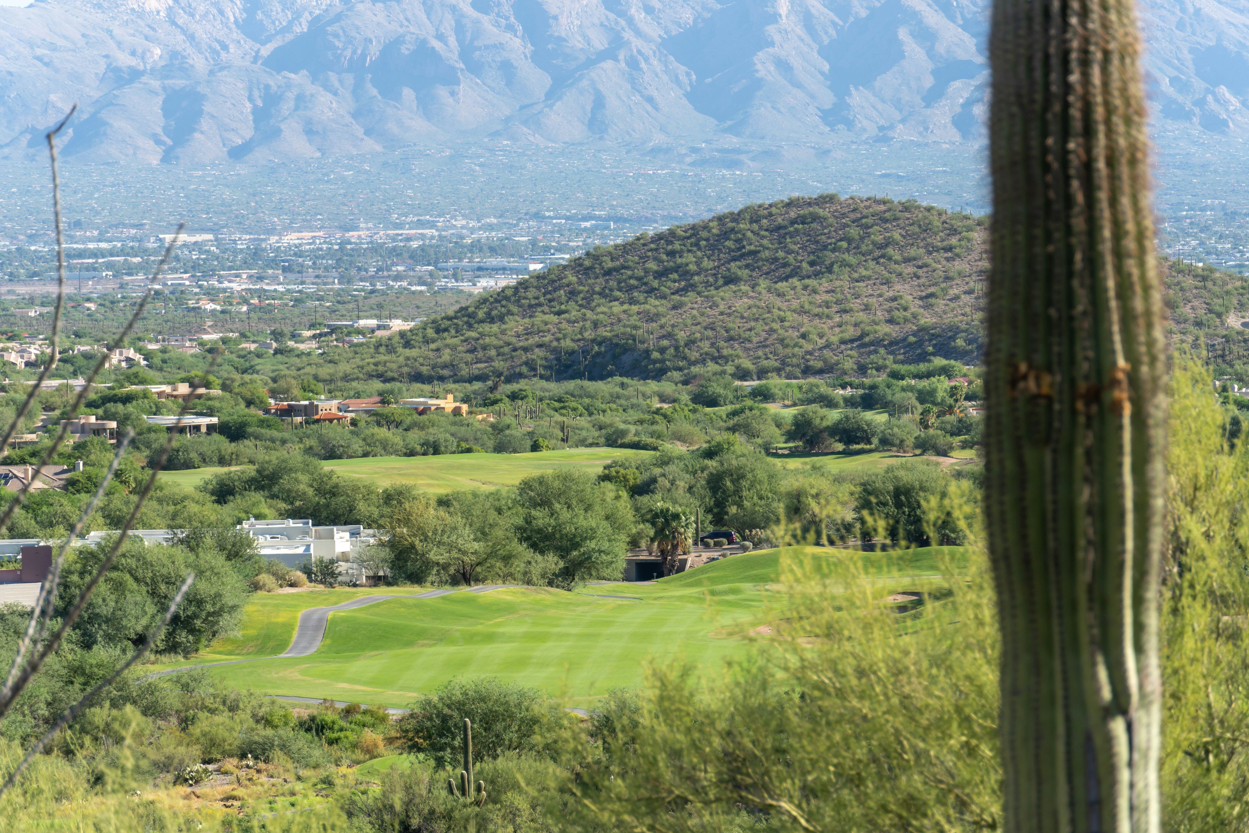 Arizona golf course