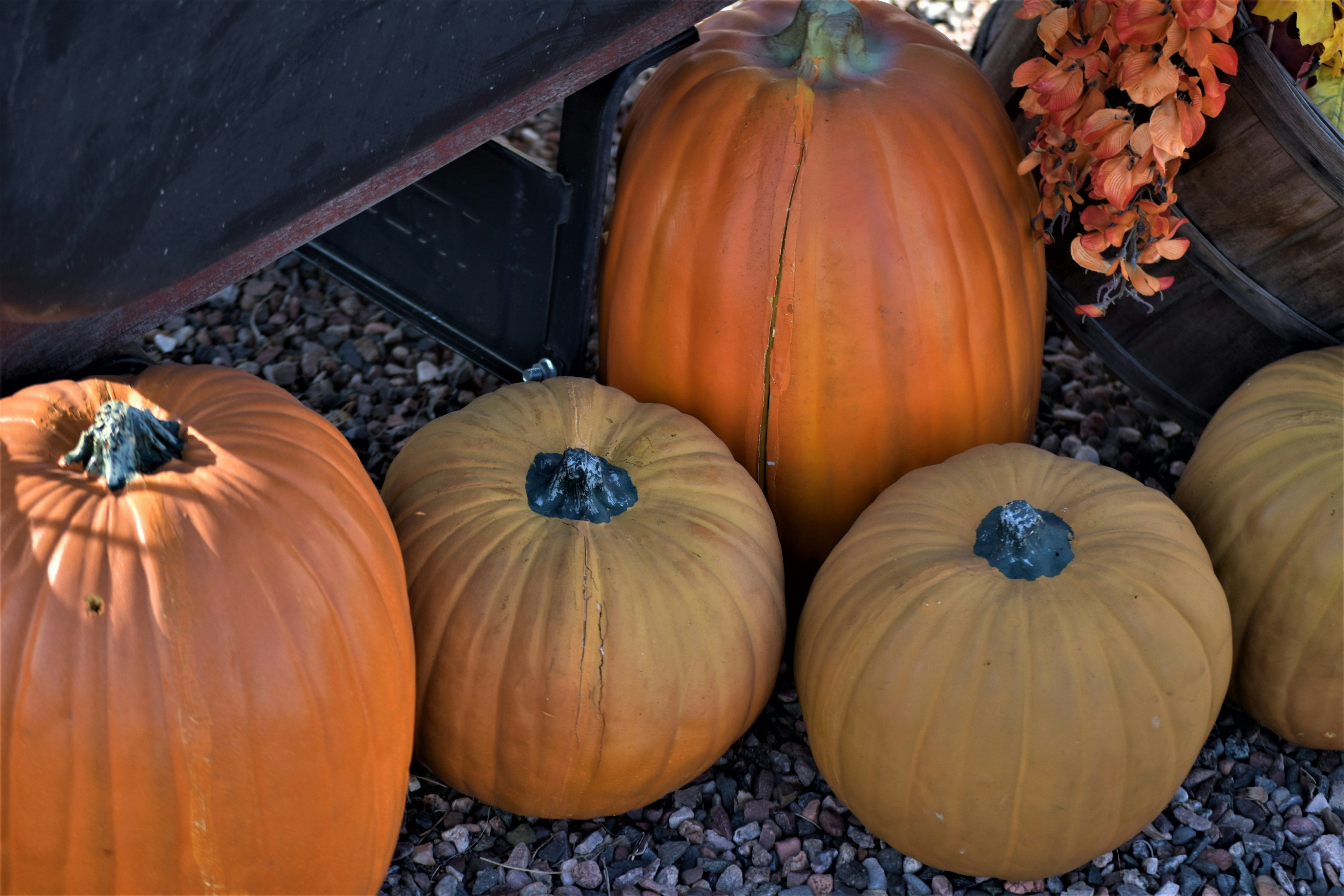 Fall festival fun in Arizona