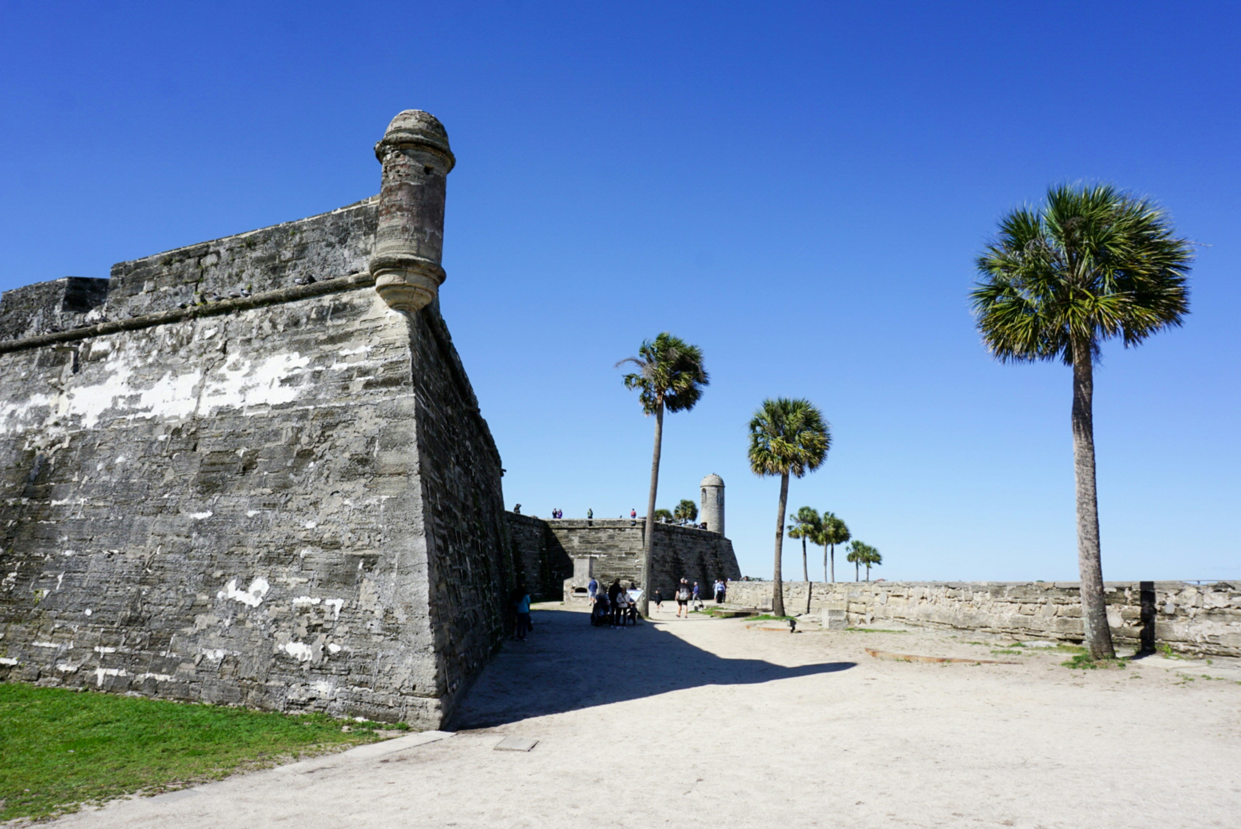 The coquina corner of the Castillo de San Marcos with palm trees against a clear blue sky, St. Augustine, Florida