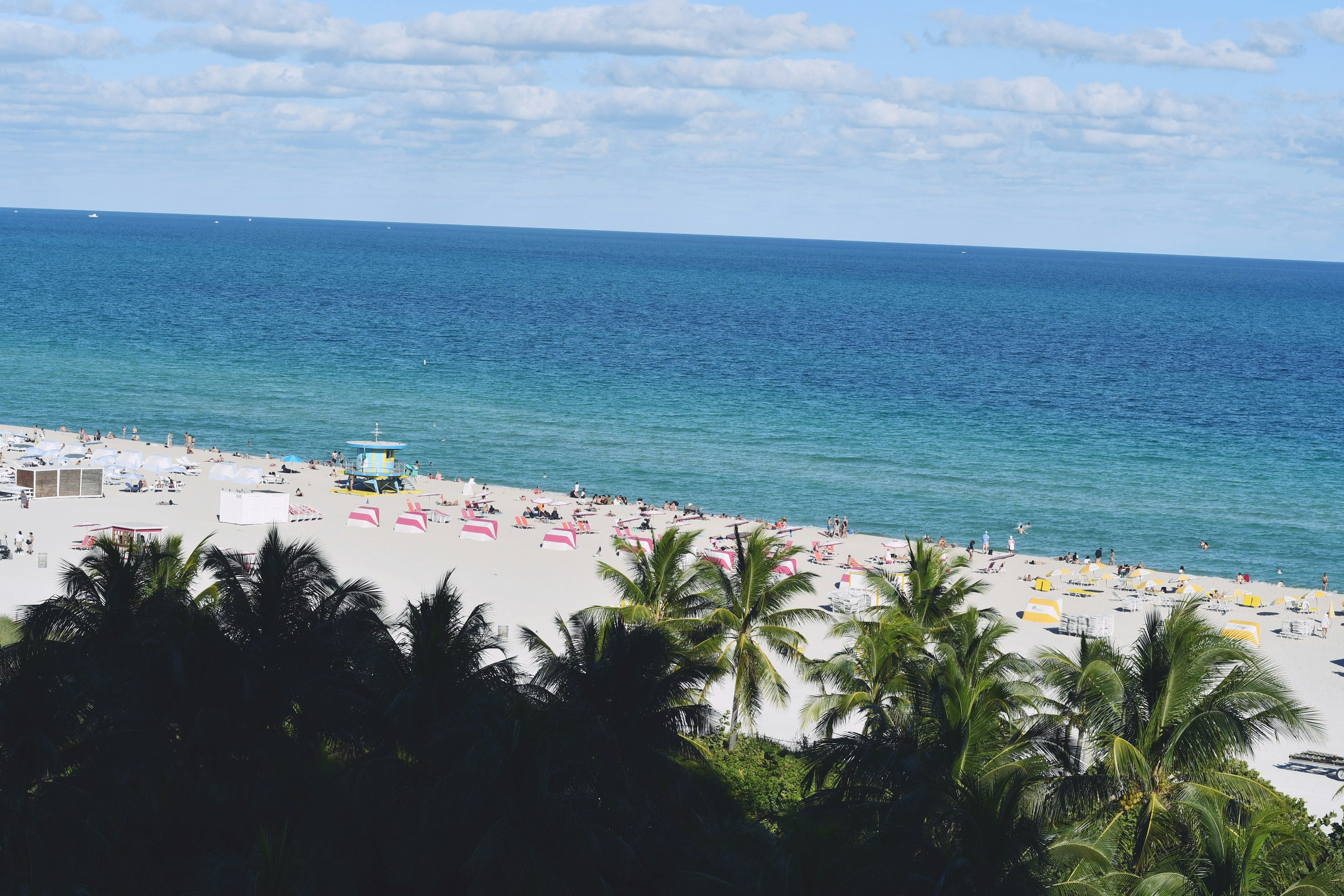 White sand beach with turquoise water and palm trees near Indian Rocks Beach, Florida