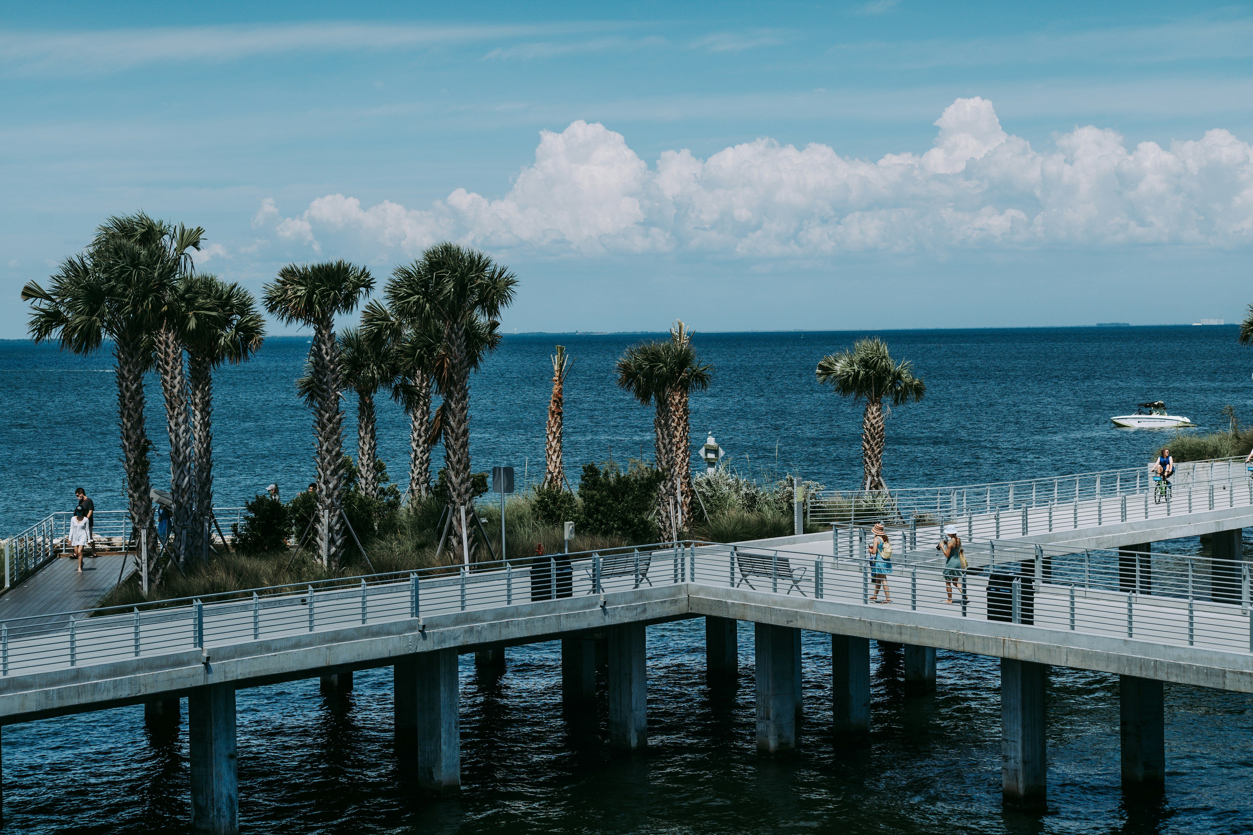 Saint Petersburg Florida St. Pete Pier waterfront with palm trees