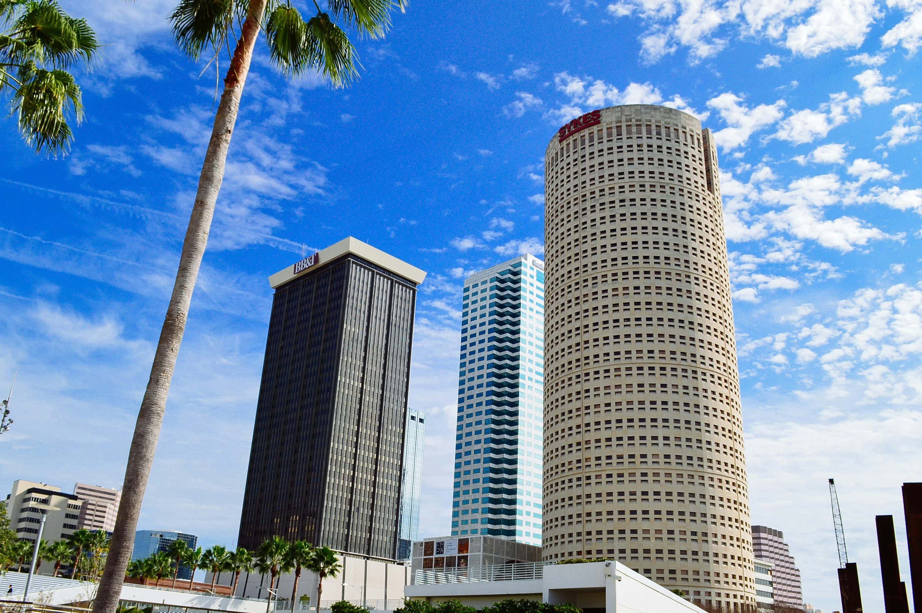 Downtown Tampa Florida skyline with palm trees and blue sky