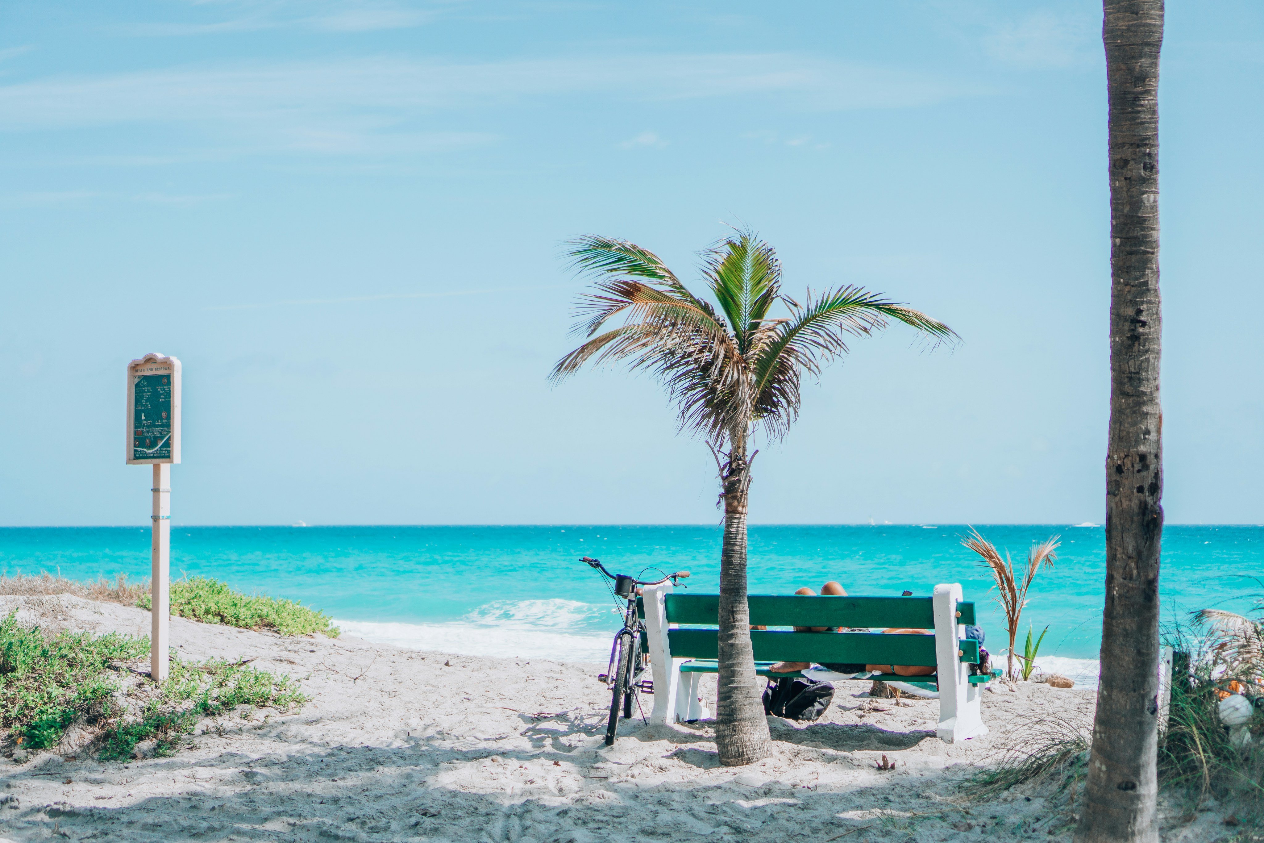 Palm tree and bench on Indian Rocks Beach, Florida Gulf Coast