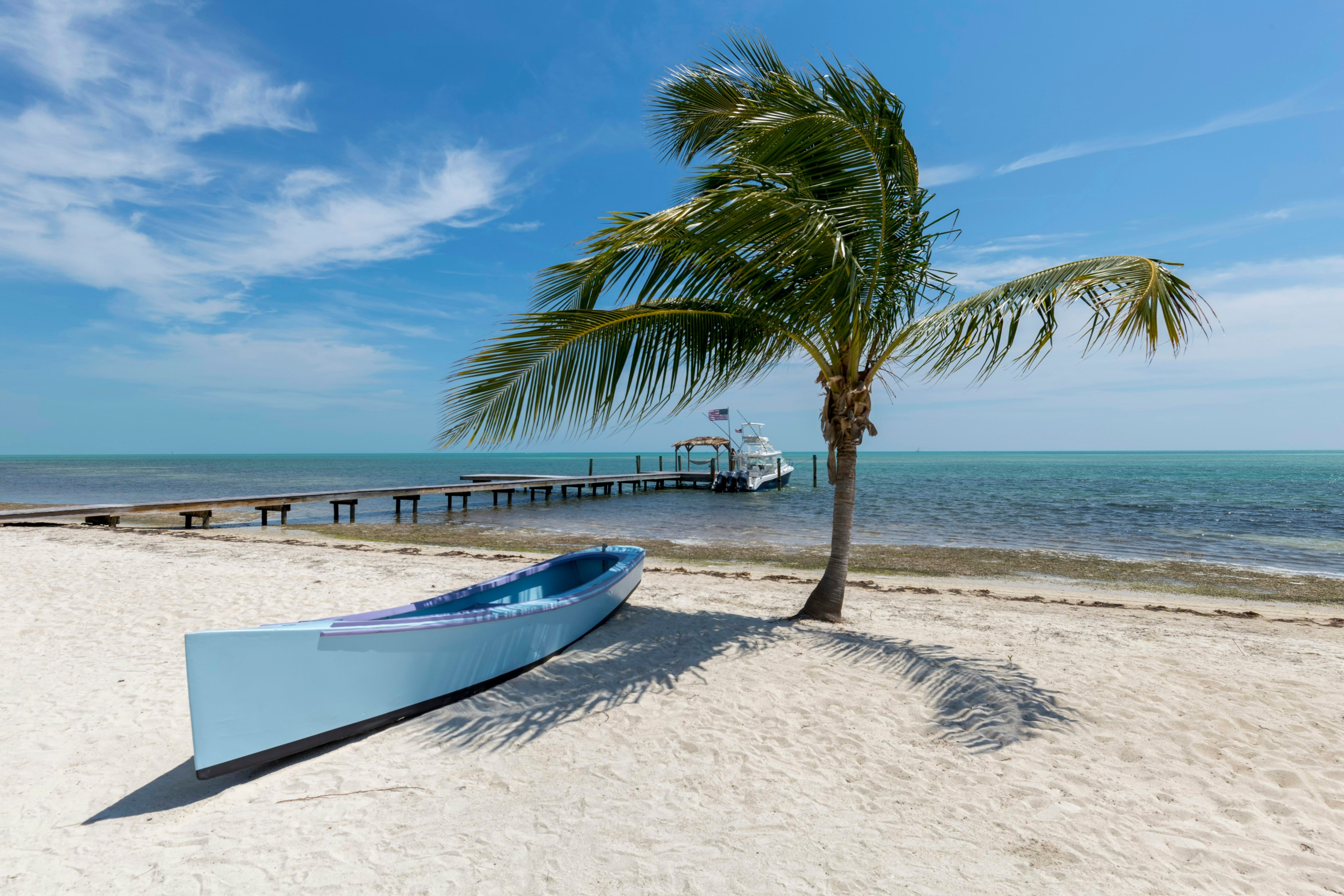 Palm tree and canoe on a white sand beach near Anna Maria Island, Florida