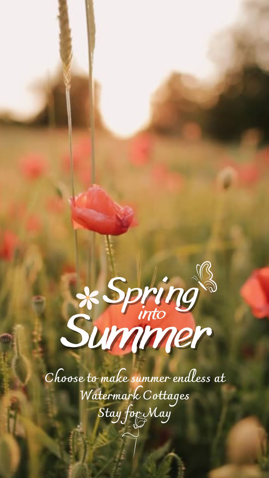Orange and White Simple Hello Spring Mobile Video.jpg