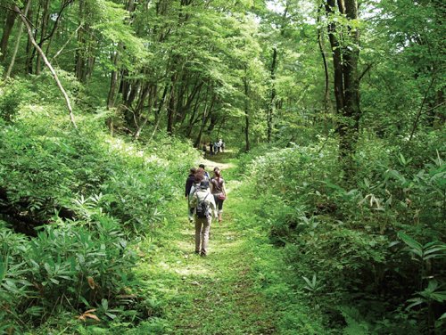 Many beautiful hikes near French Woods Farmhouse