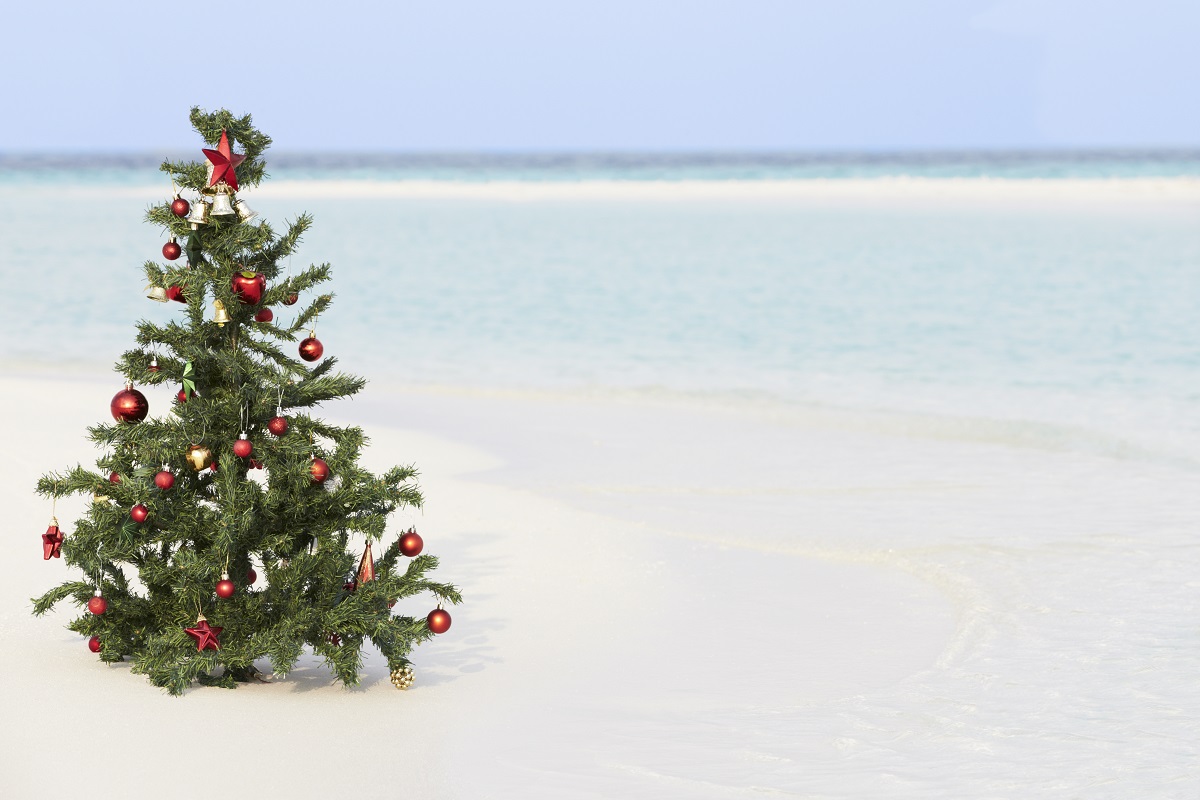Christmas tree on a white sandy beach in Cayman Islands