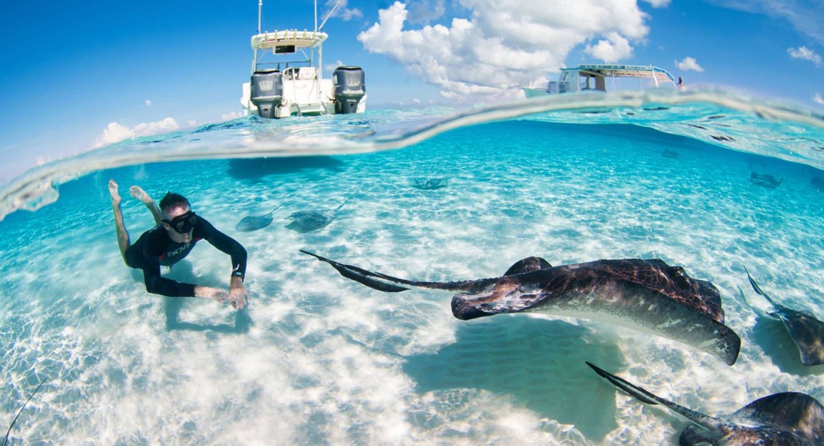 a person swimming in the water with a sting ray with tour boats around him
