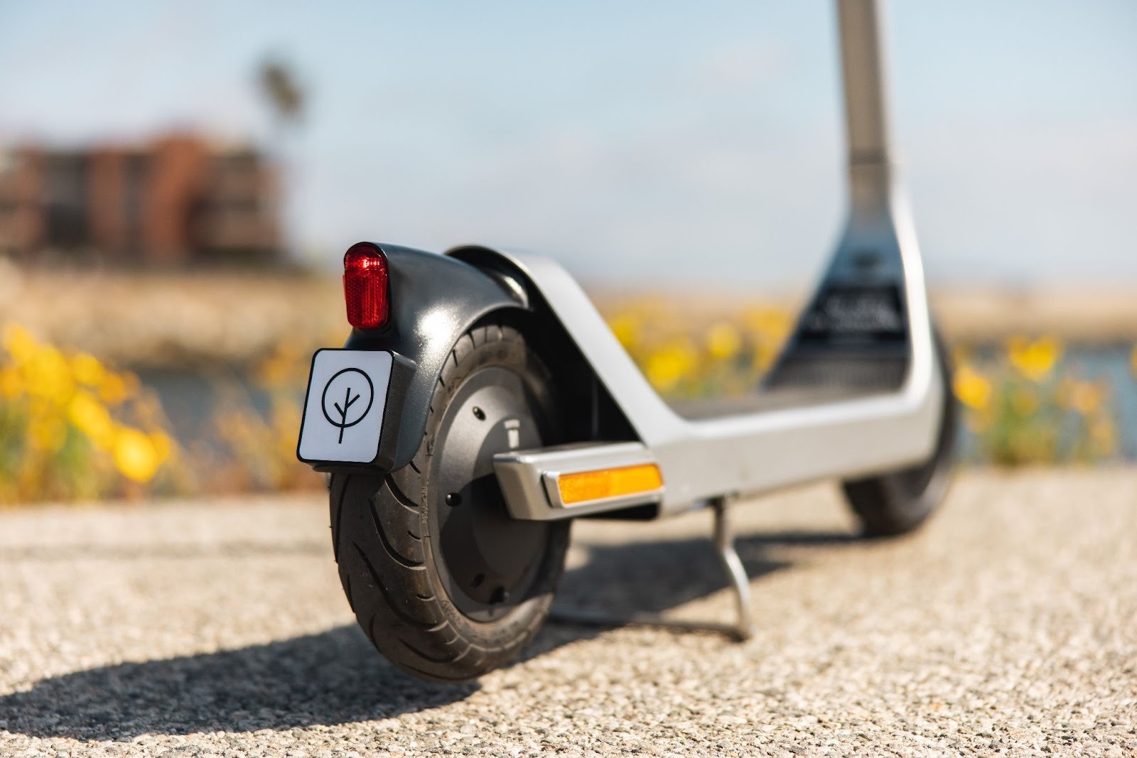 Bird Scooter now operates on Grand Cayman Island