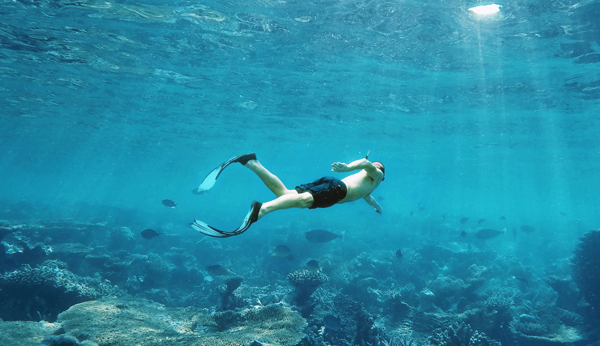 snorkel Cayman Island