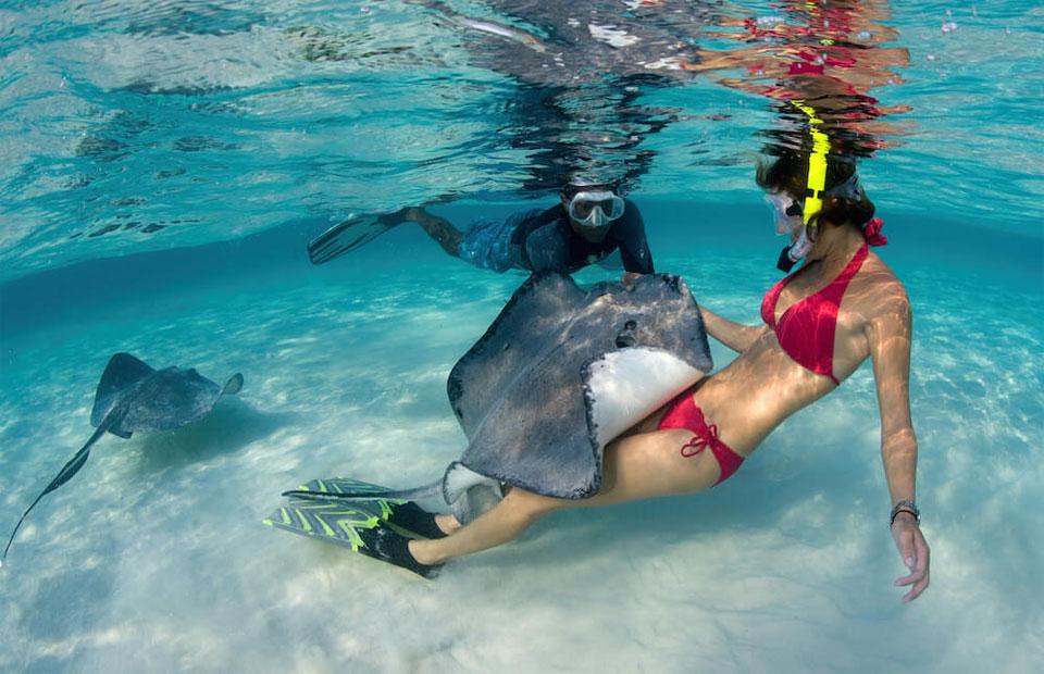 Tips for diving in Cayman Island