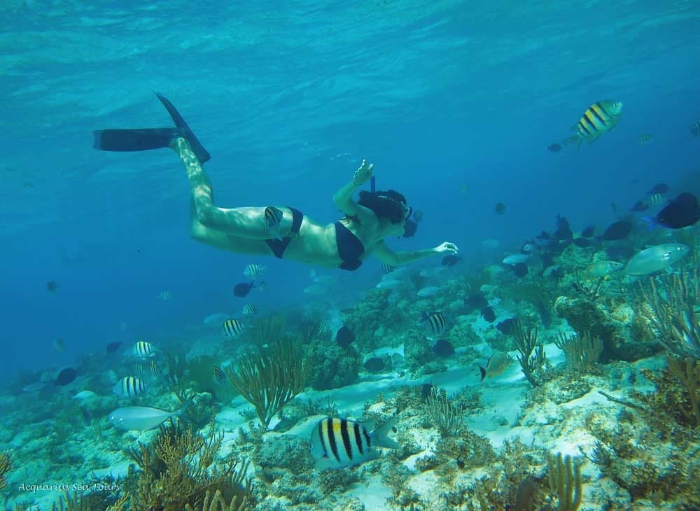 Snorkeling in Grand Cayman